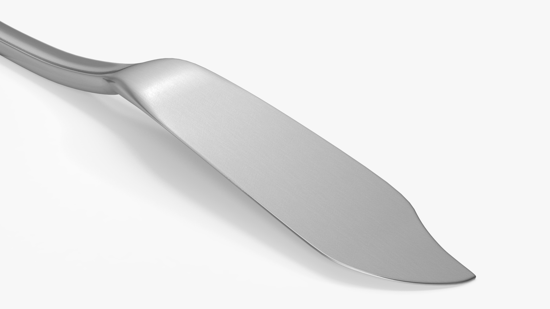 Fish Knife Silver 3D