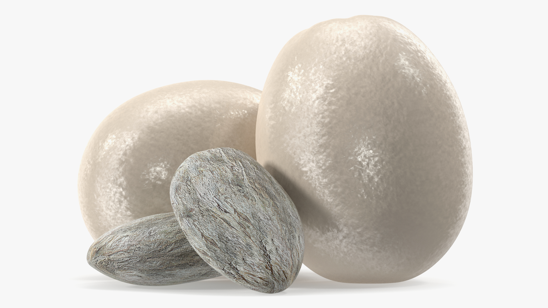 Peeled Rambutan Fruit with Seeds 3D