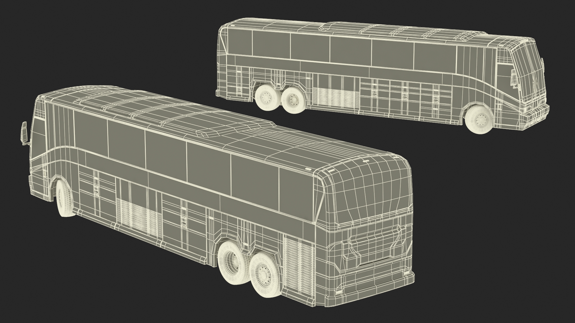 3D Charter Bus Rigged model