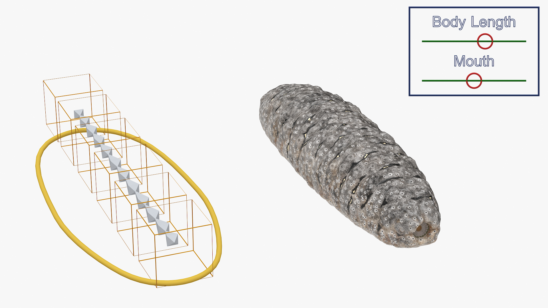 Trepang Gray Rigged 3D model