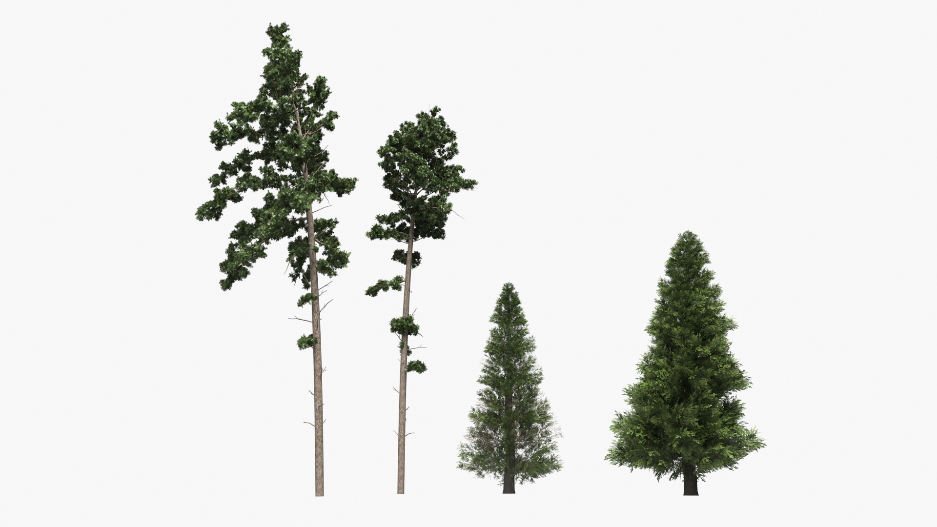 Low Poly Dense Conifer Forest Green - view 8