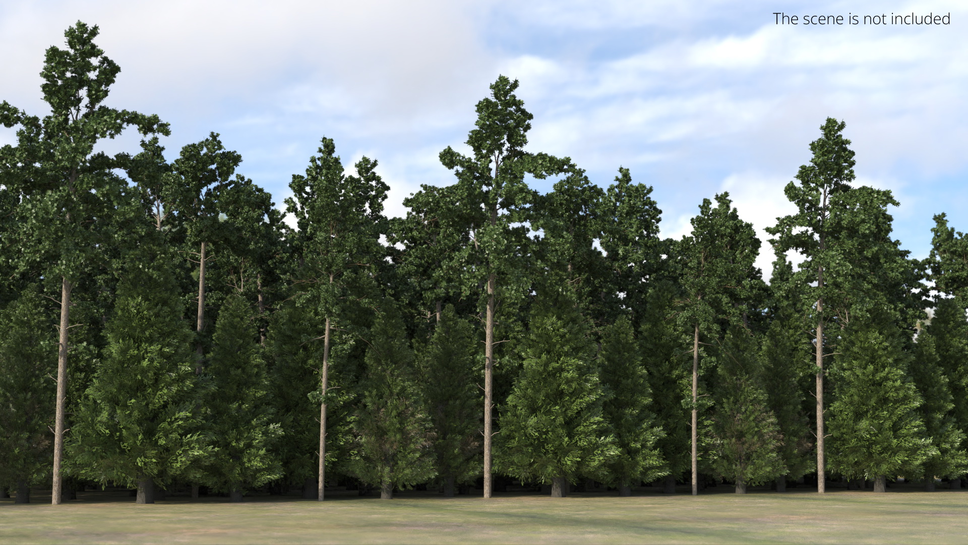 Low Poly Dense Conifer Forest Green - view 2