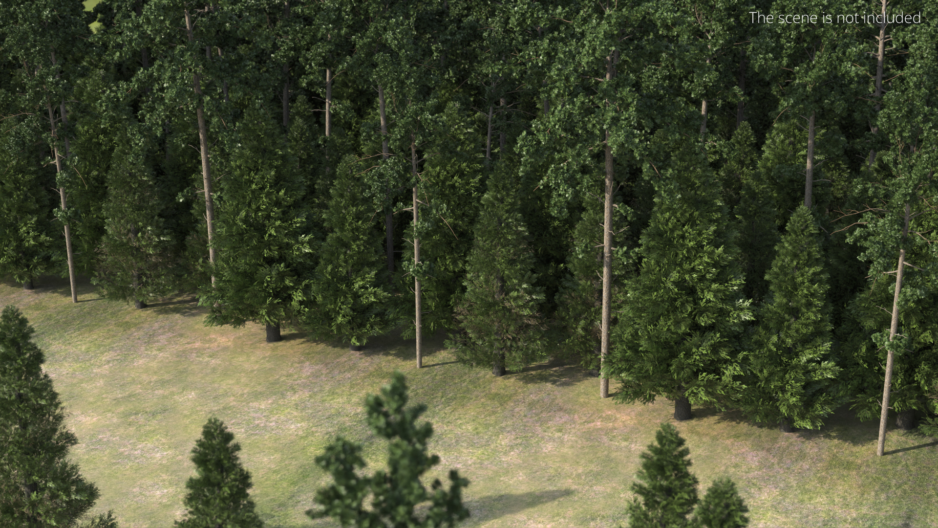 Low Poly Dense Conifer Forest Green - view 3