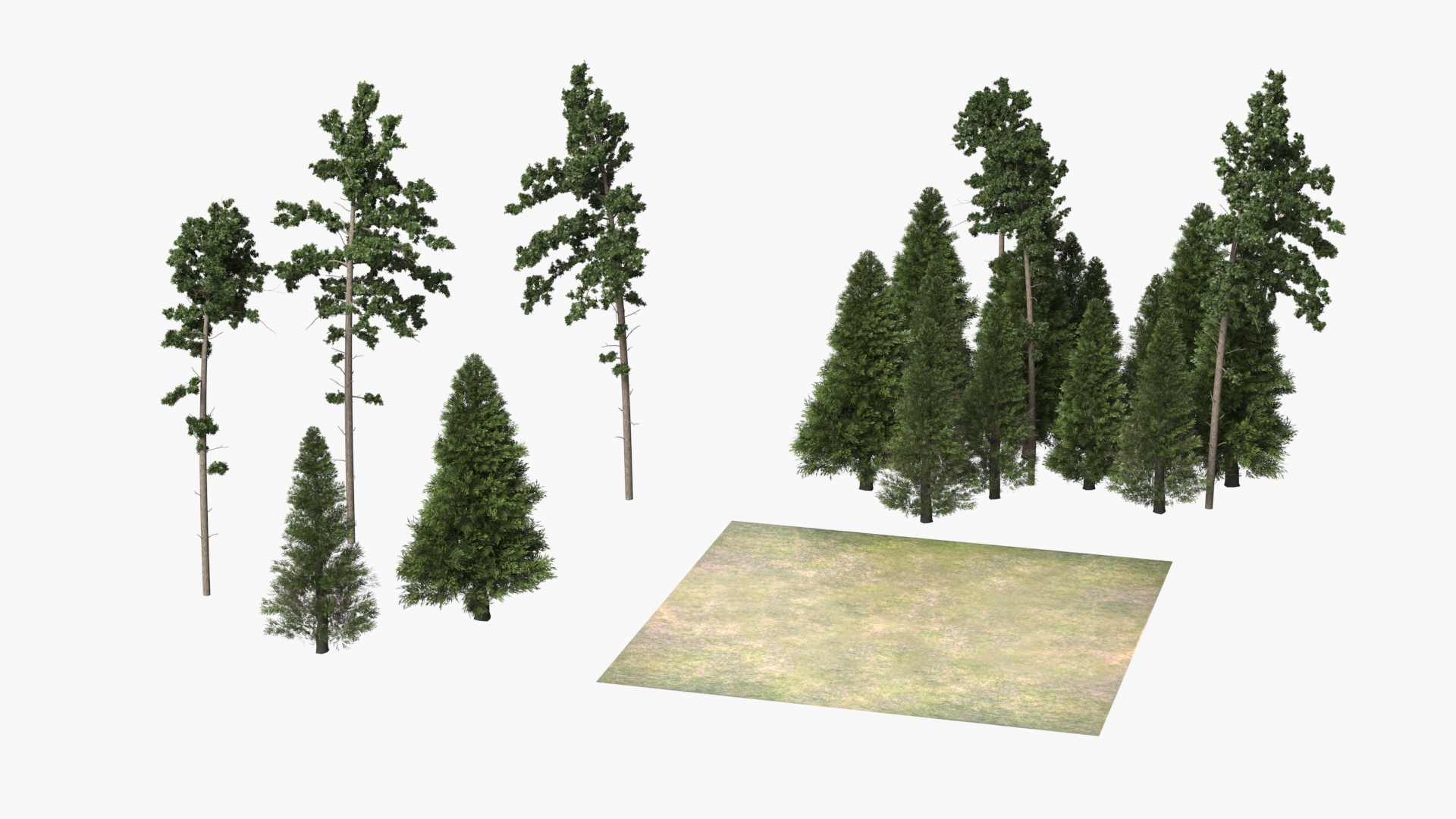 Low Poly Dense Conifer Forest Green - view 7