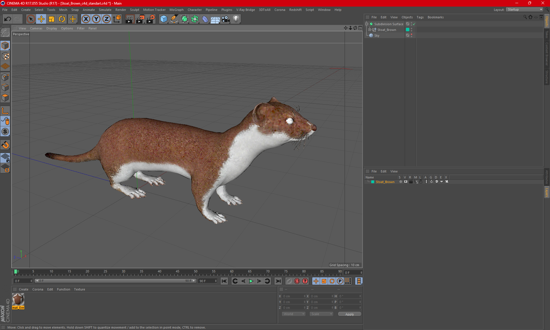 3D Stoat Brown