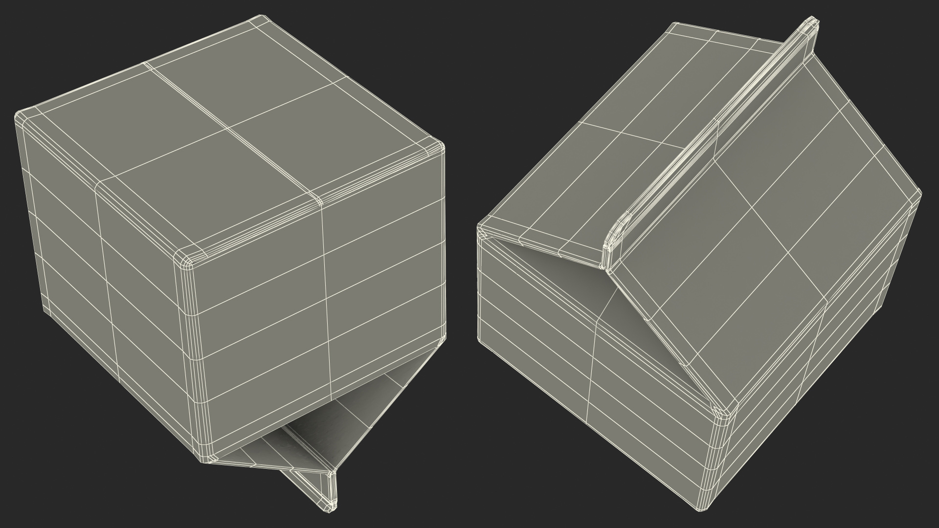 Tetra Rex Renewable Packaging 3D model