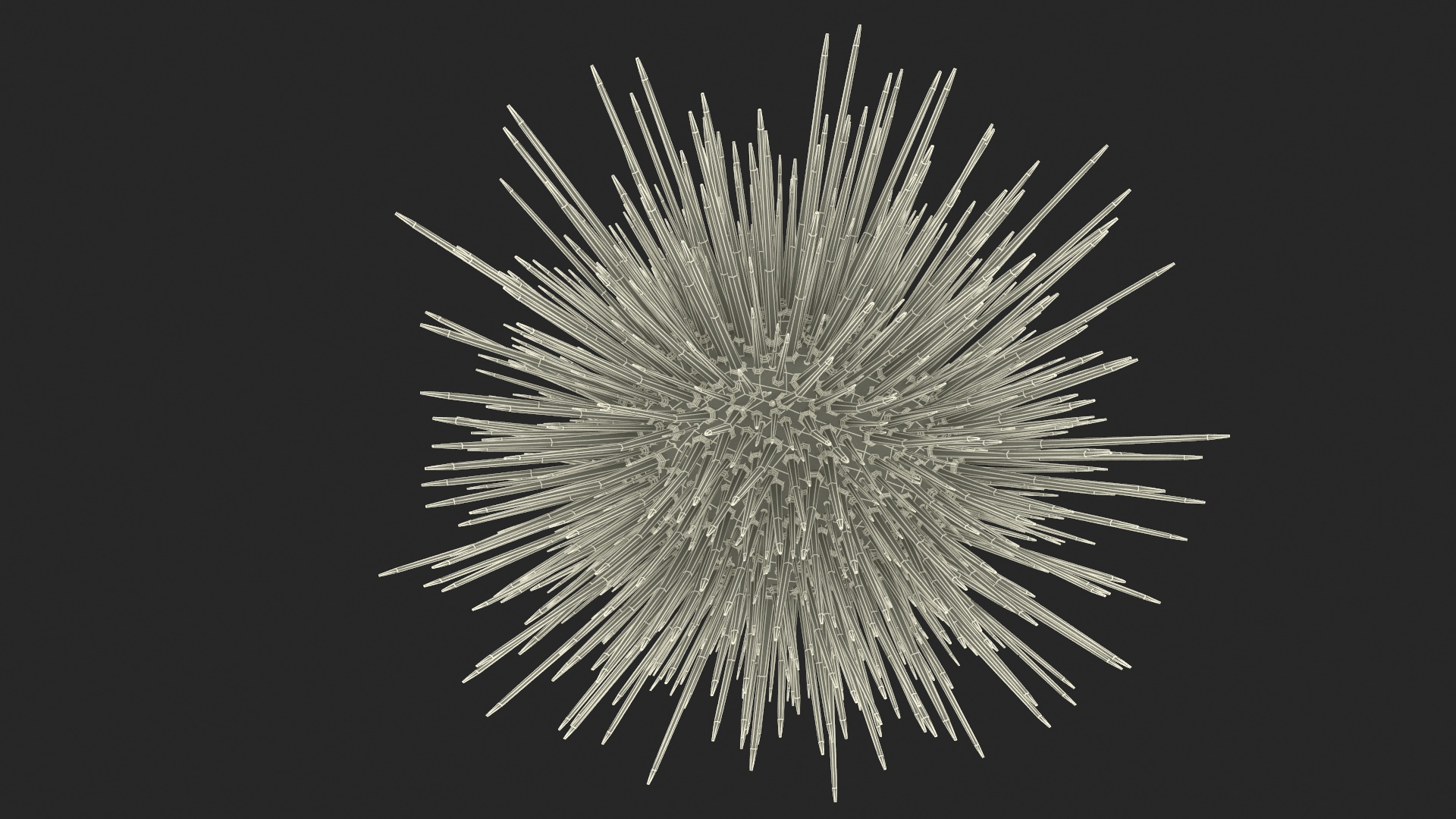Red Sea Urchin 3D model