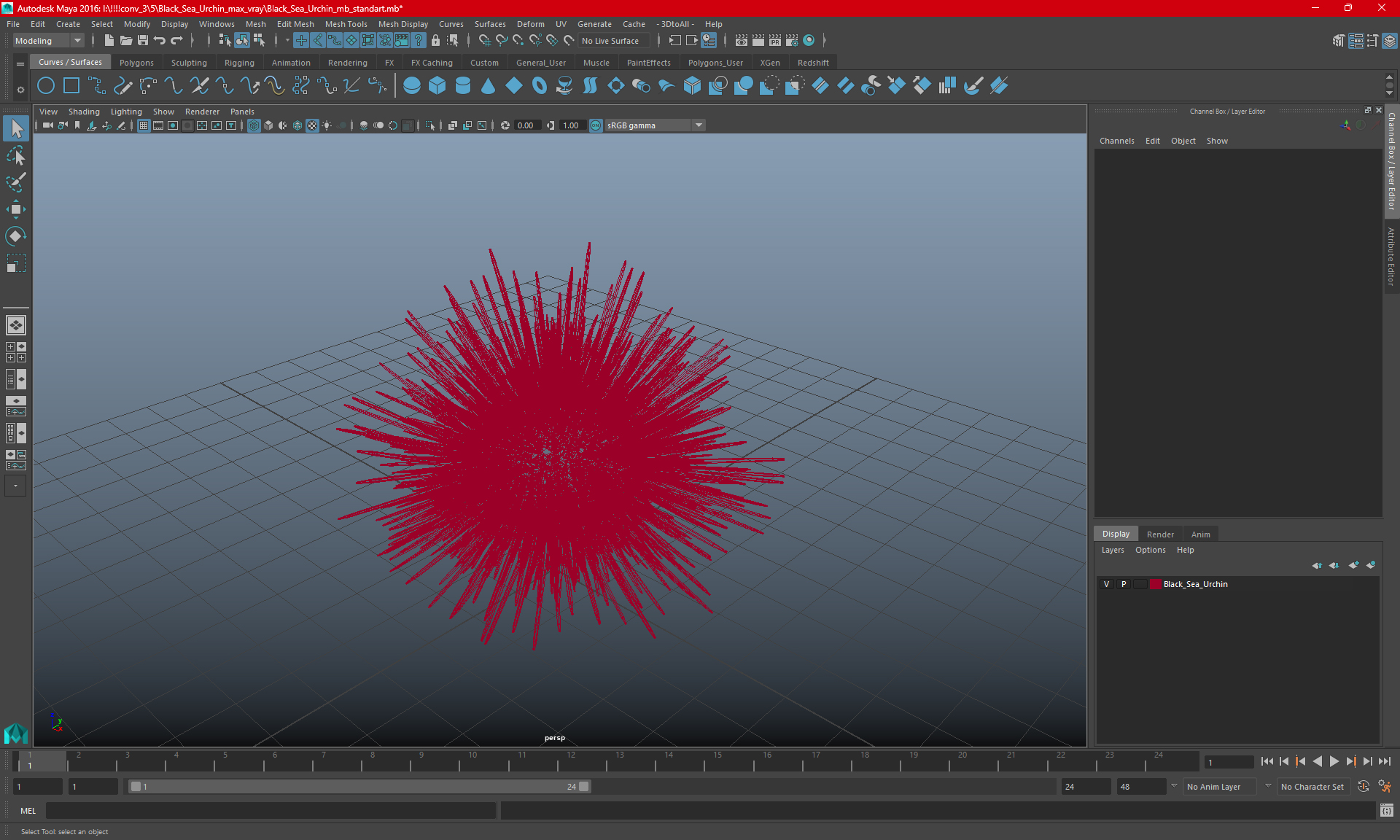 Red Sea Urchin 3D model