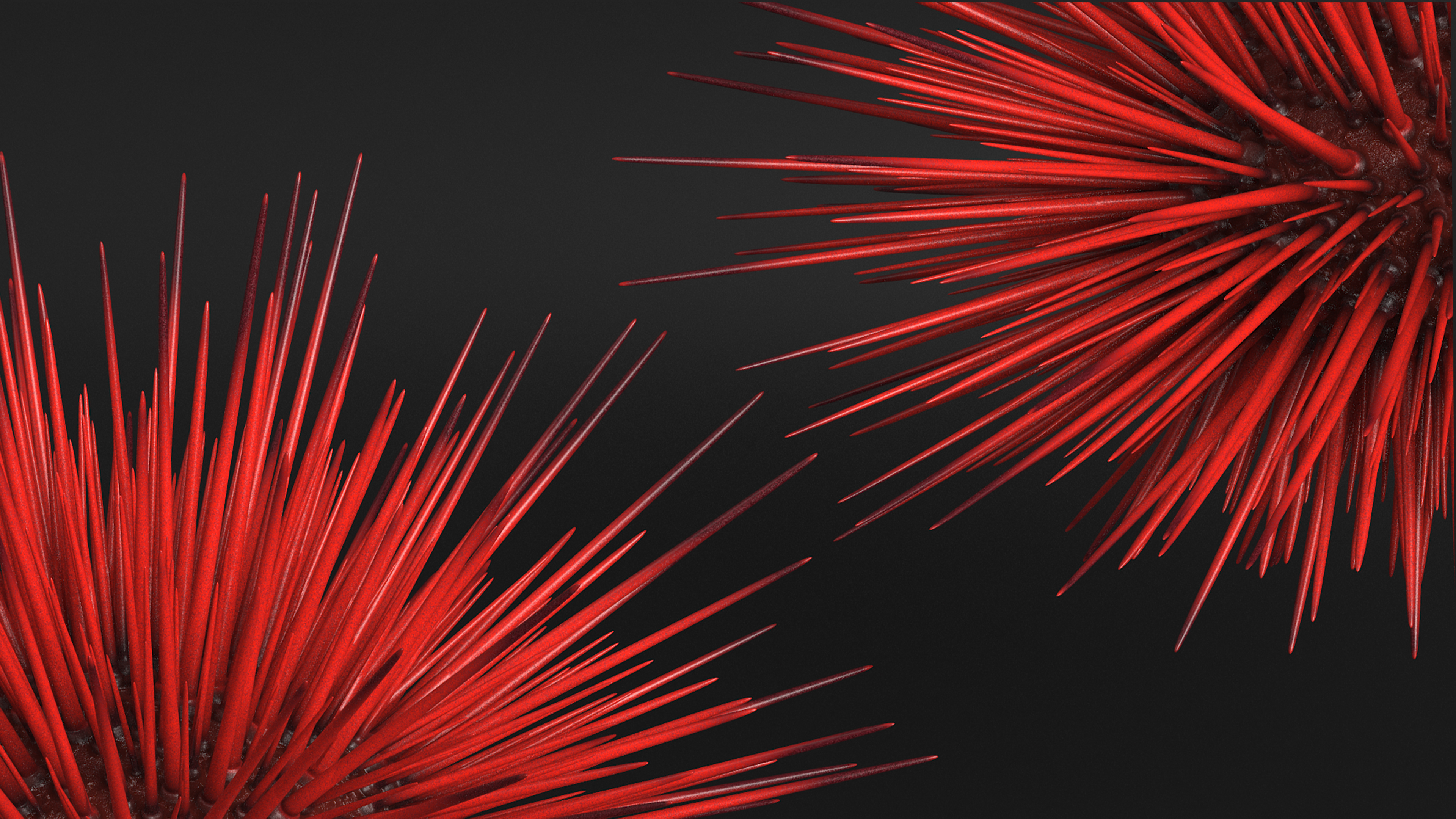 Red Sea Urchin 3D model