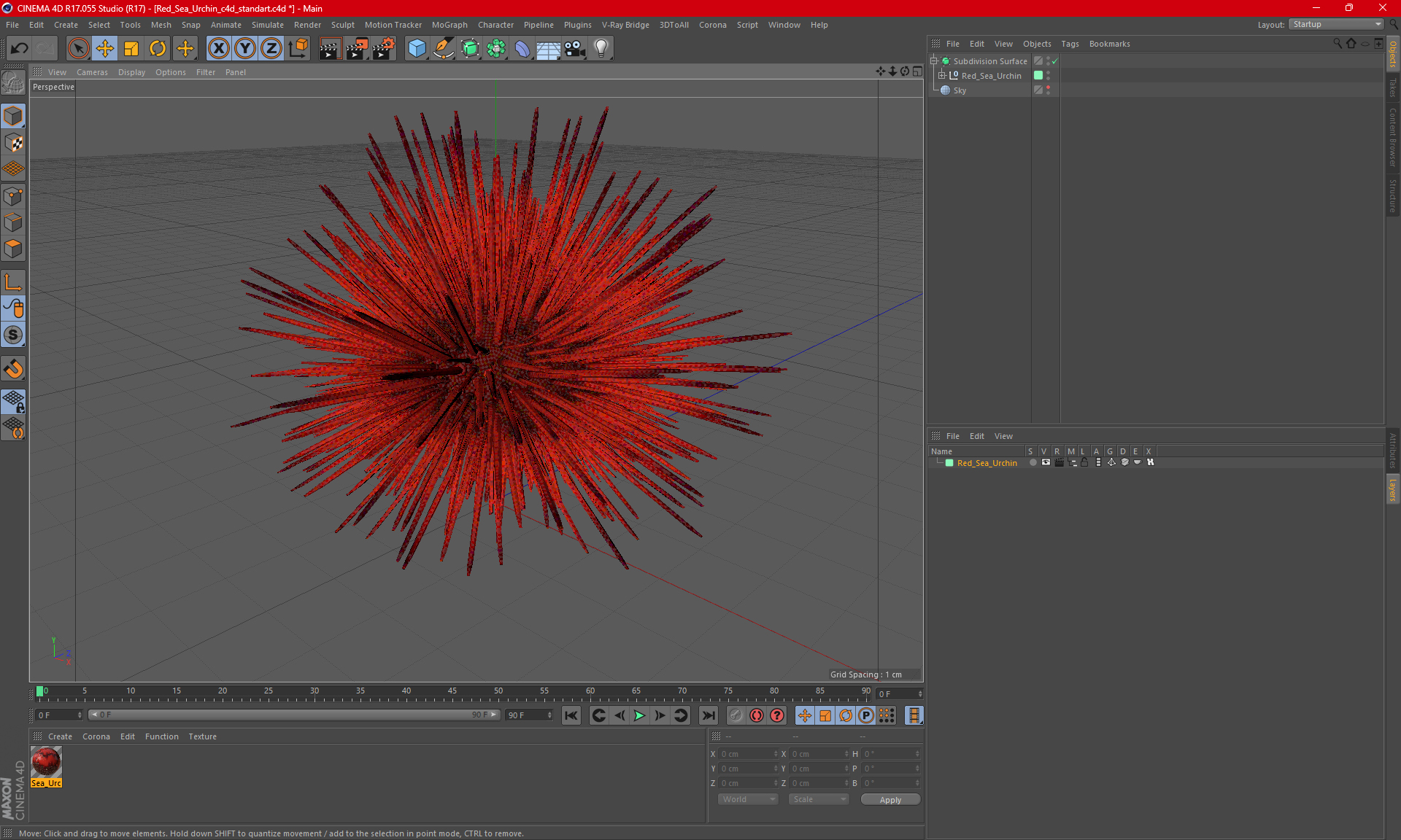 Red Sea Urchin 3D model
