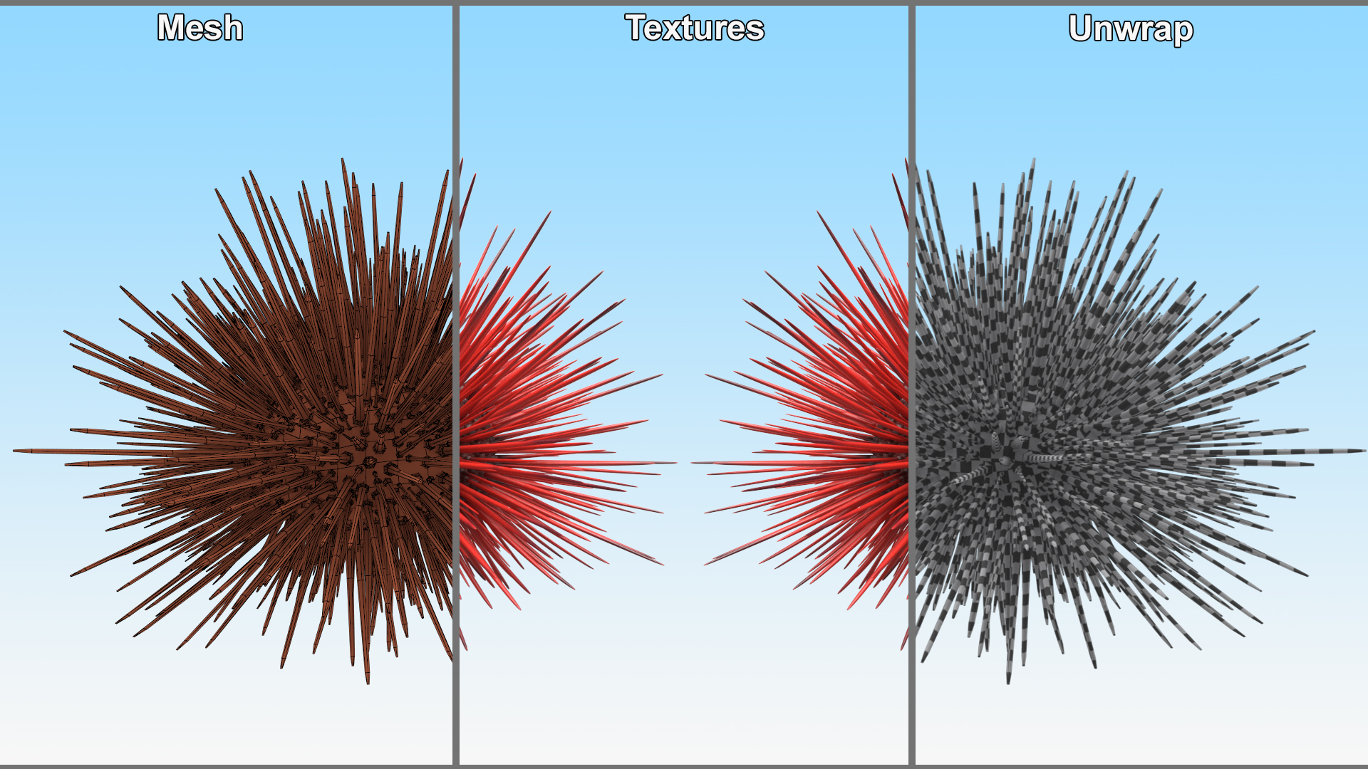 Red Sea Urchin 3D model