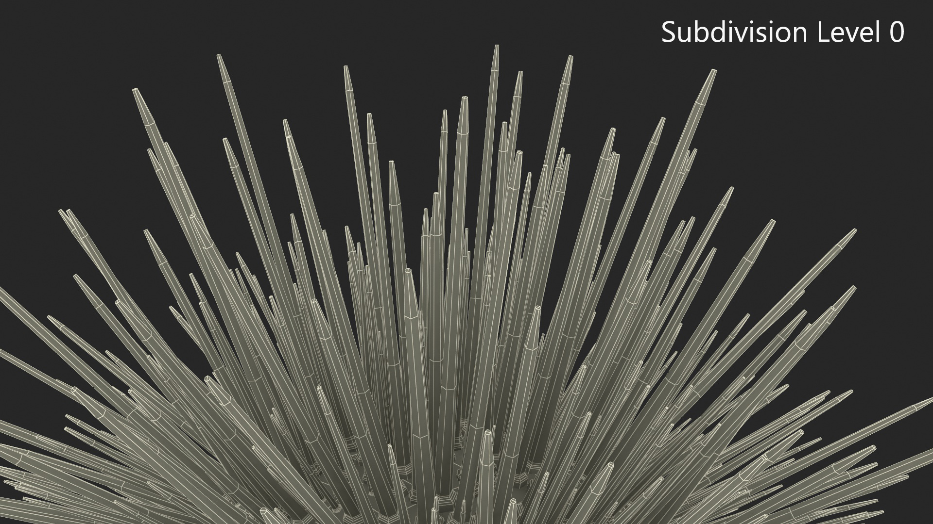 Red Sea Urchin 3D model