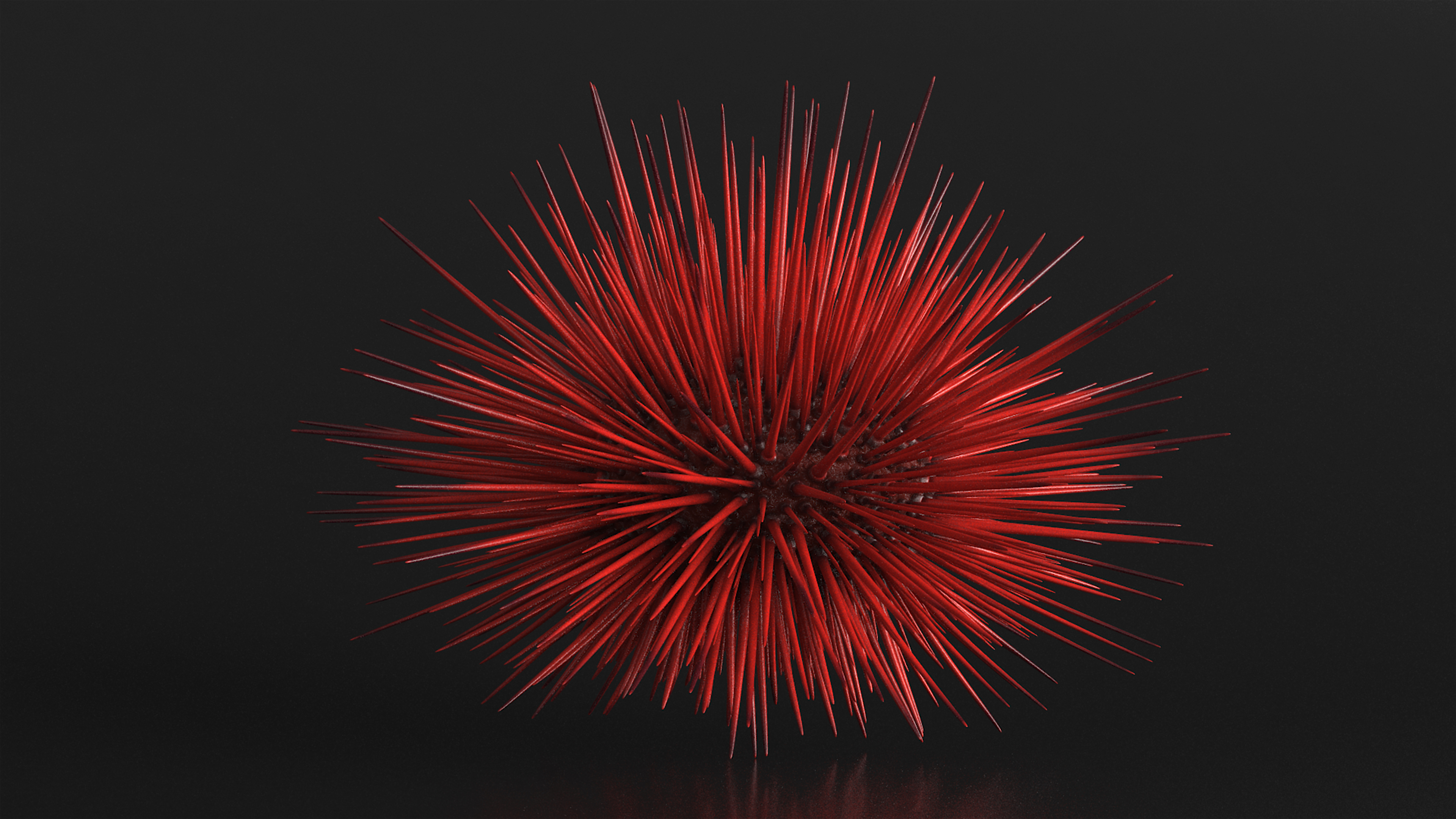 Red Sea Urchin 3D model