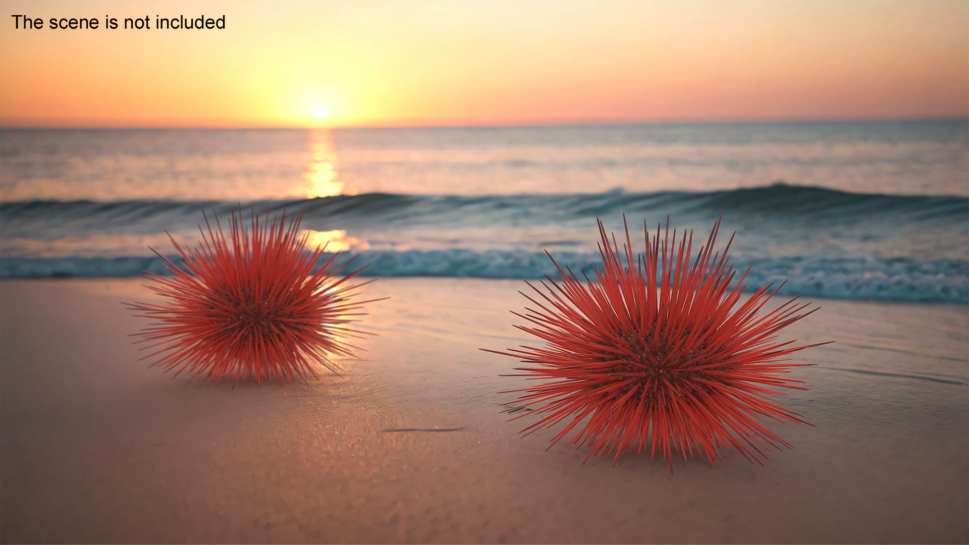 Red Sea Urchin 3D model