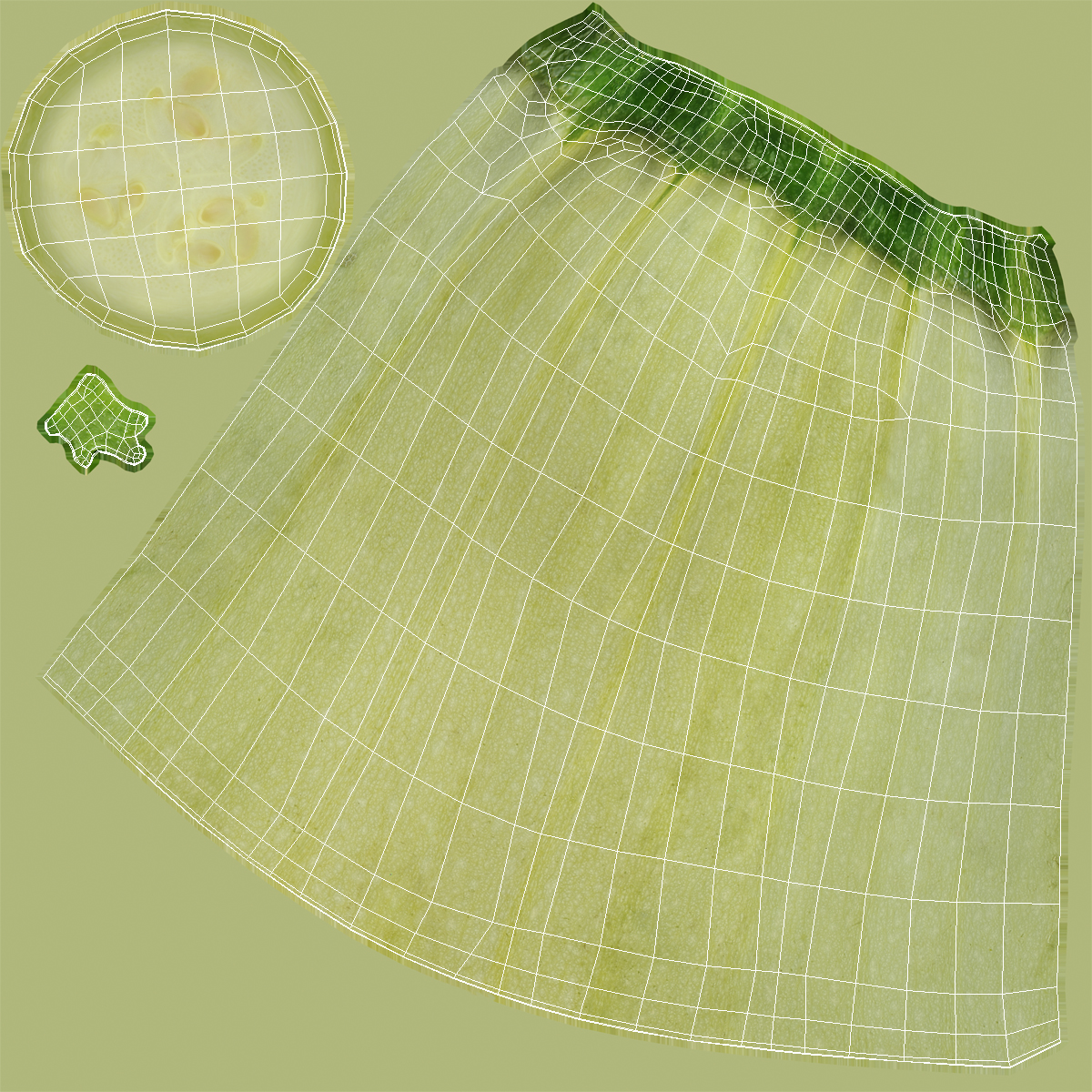 Summer Squash Gray Zucchini Half 3D