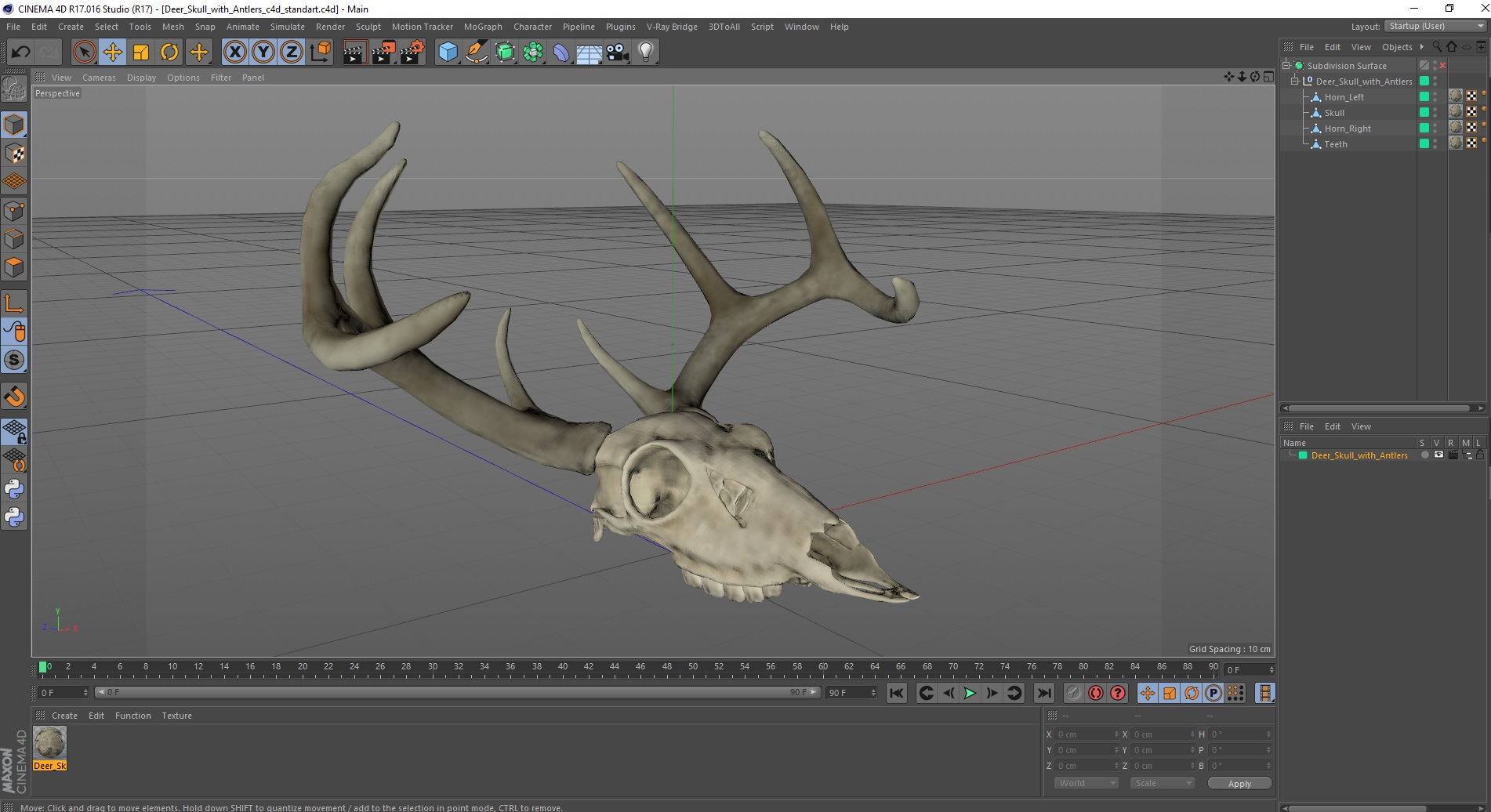 3D Deer Skull with Antlers model