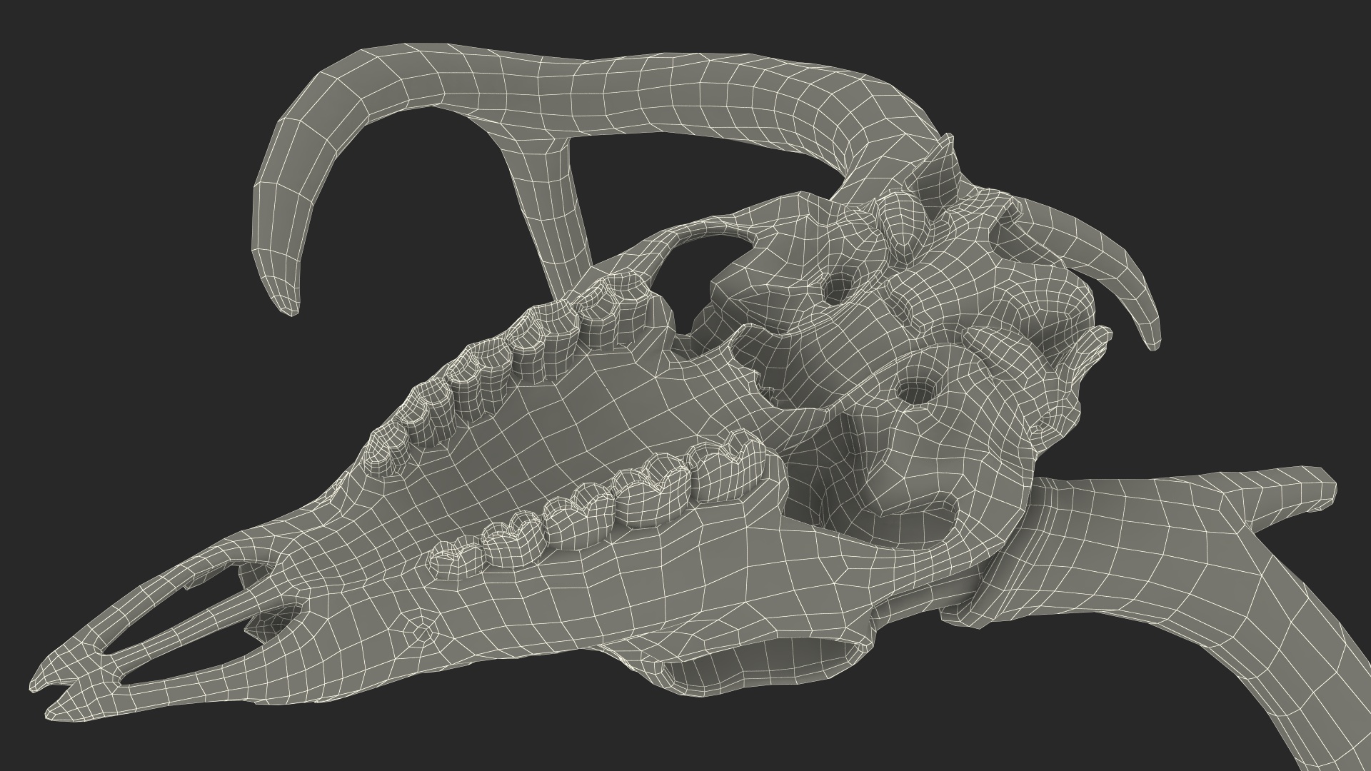 3D Deer Skull with Antlers model