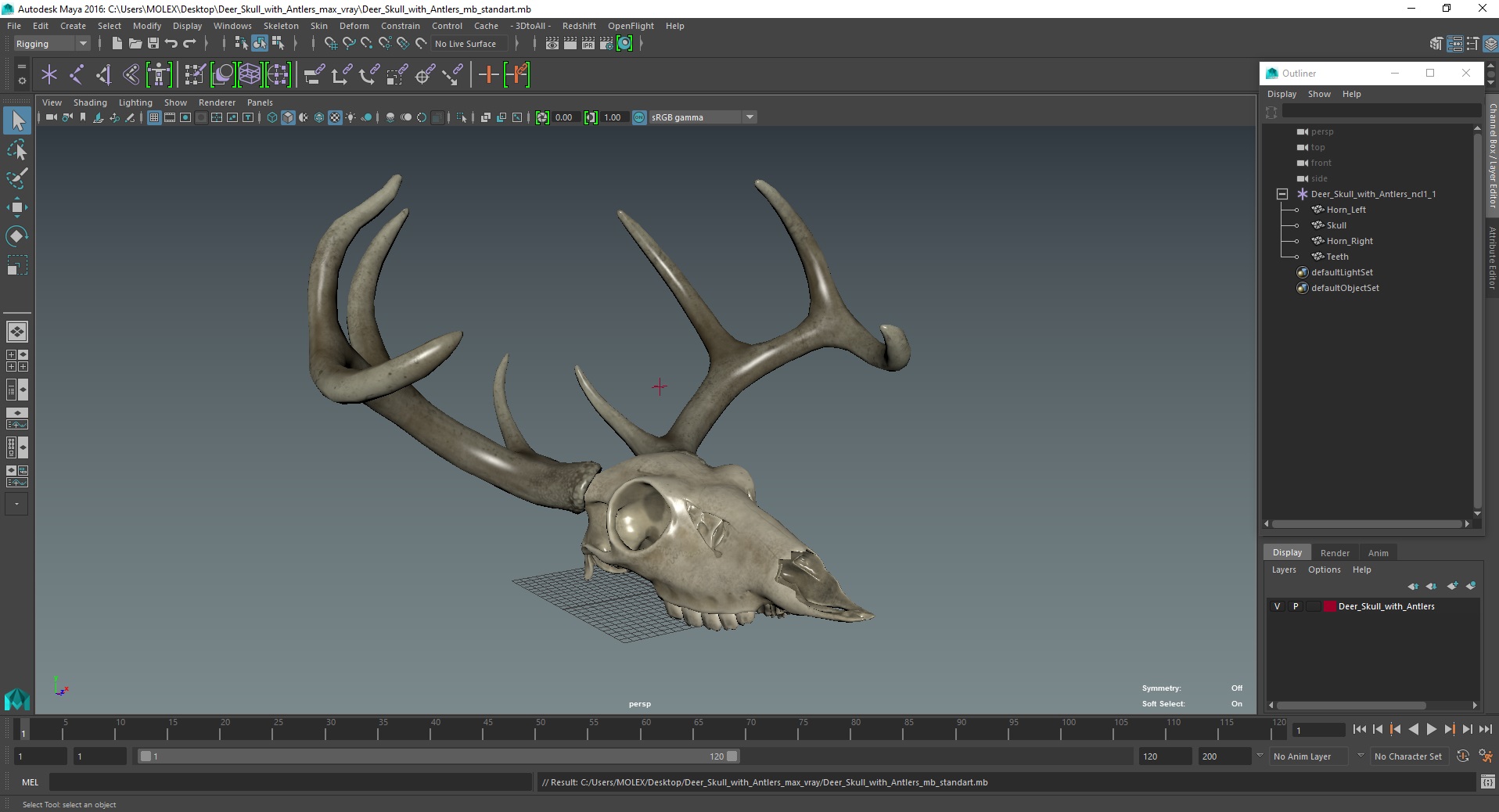3D Deer Skull with Antlers model
