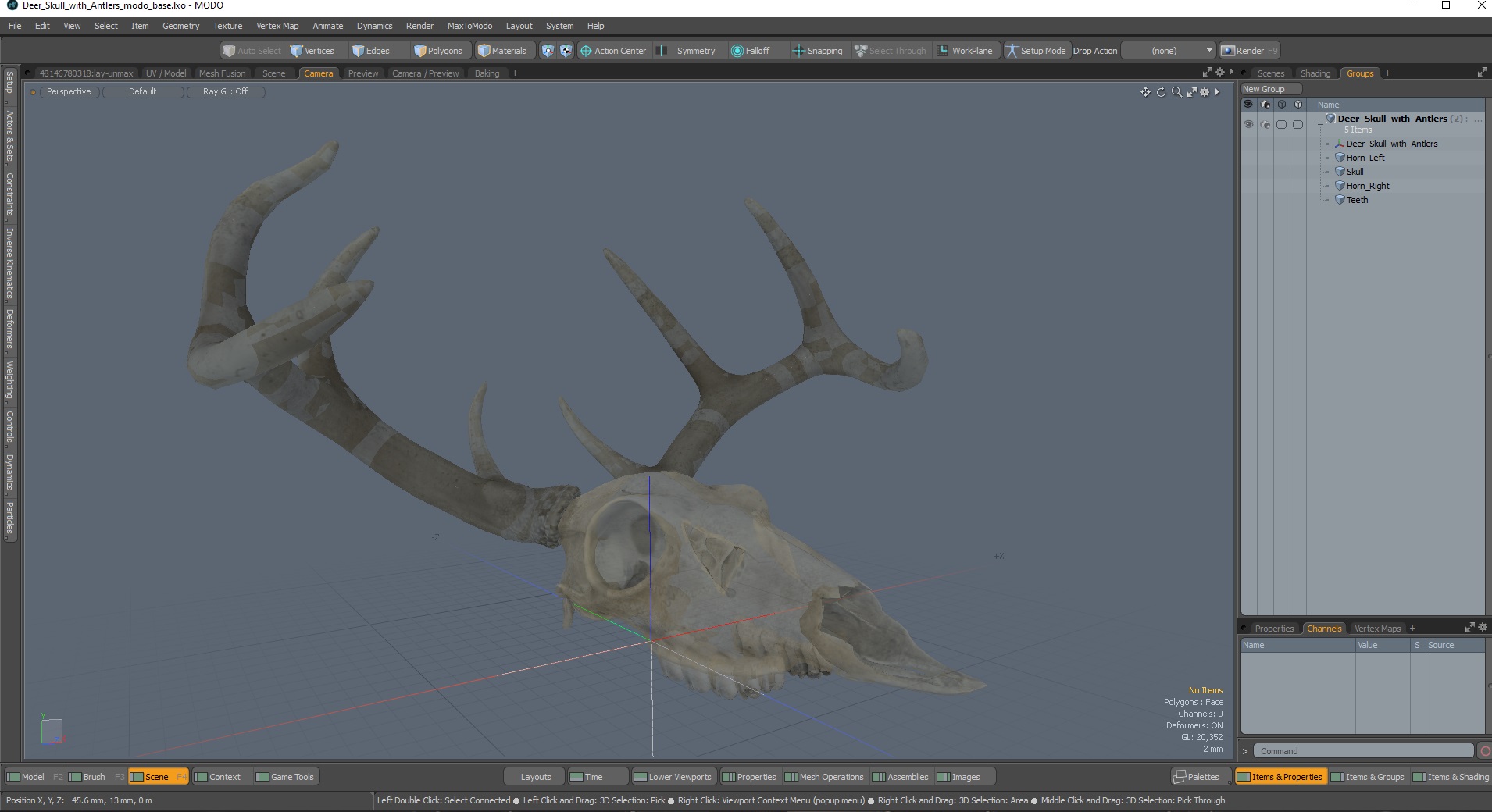3D Deer Skull with Antlers model