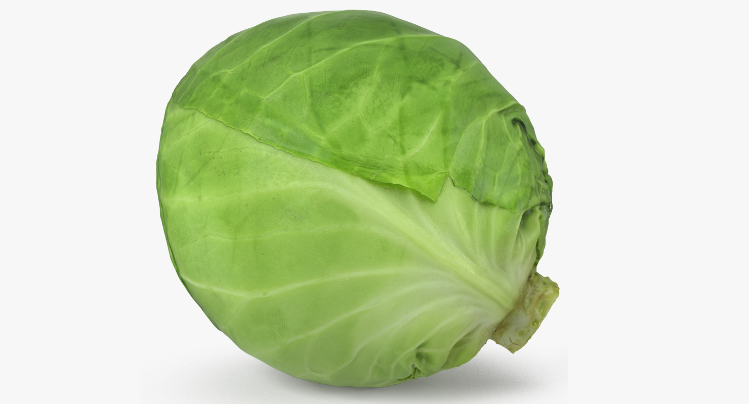 Cabbage 3D model