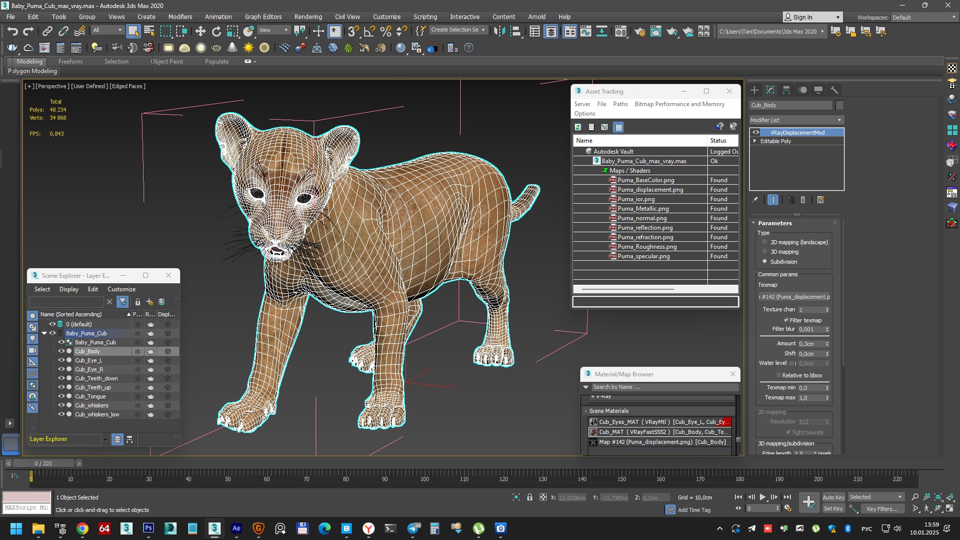 3D Baby Puma Cub model