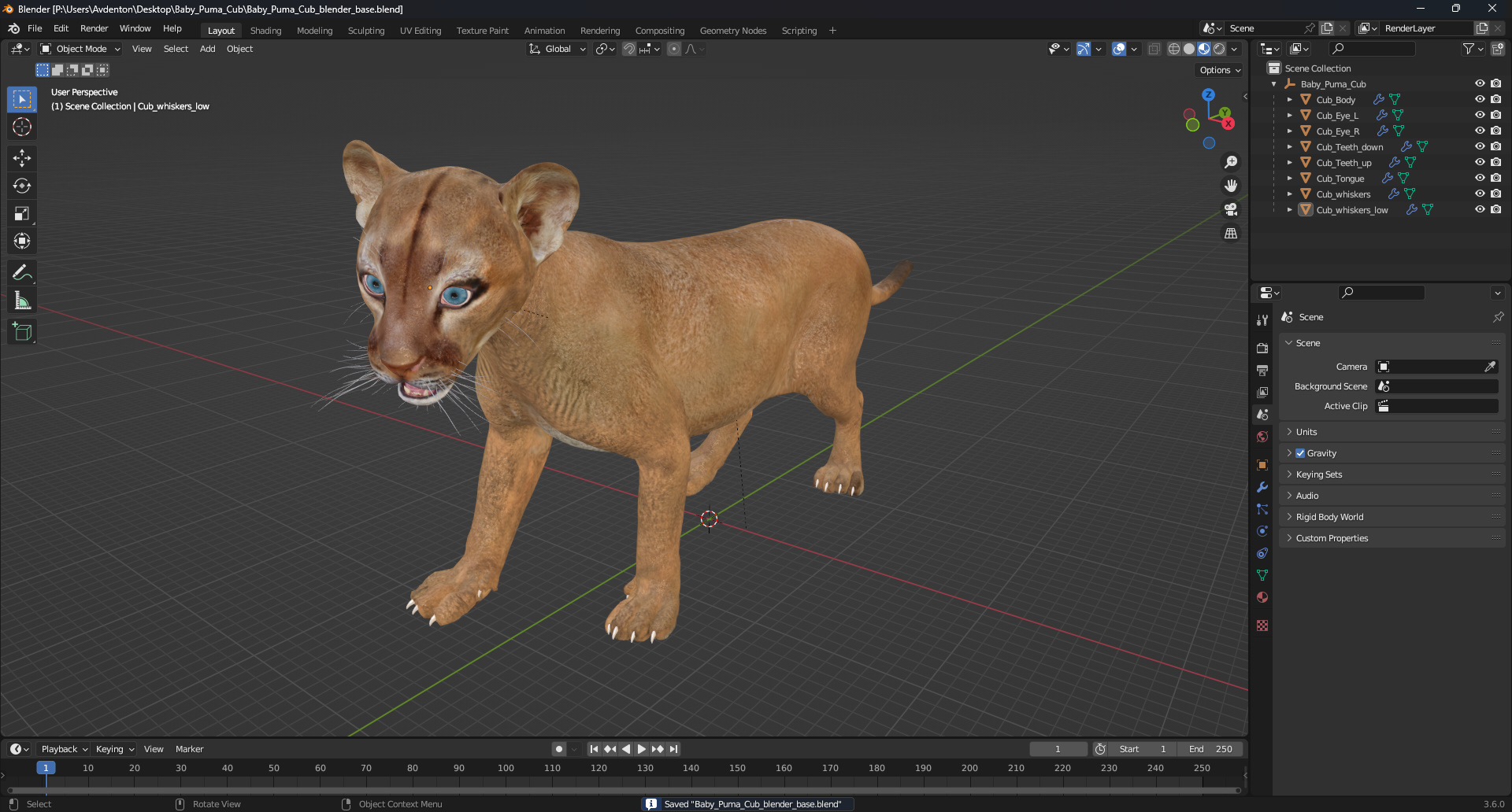 3D Baby Puma Cub model