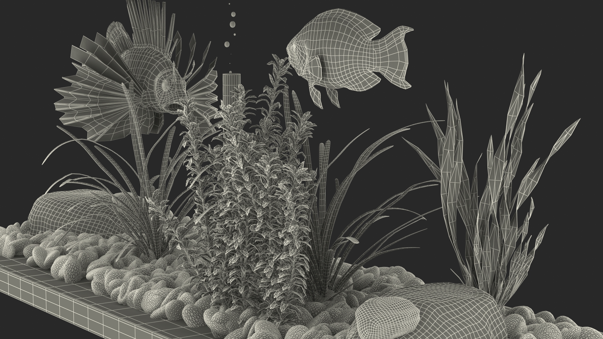 3D Fish Tank Wooden Long