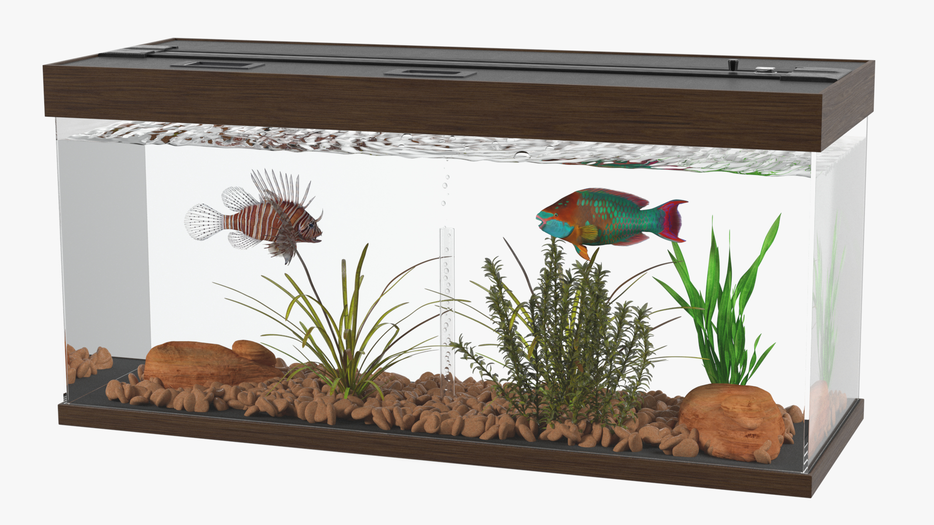 3D Fish Tank Wooden Long