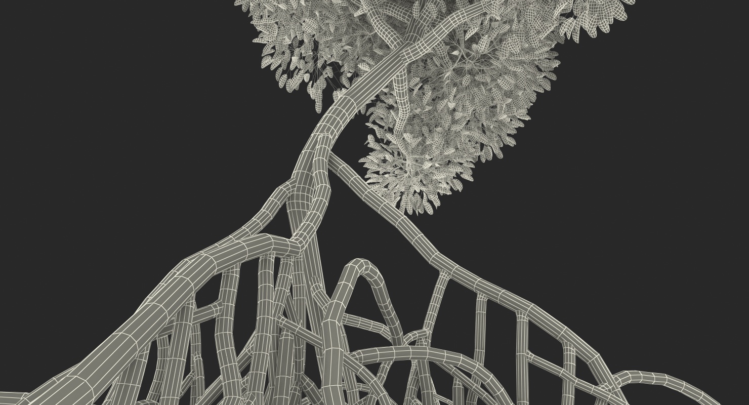 Mangrove Shrub 3D model
