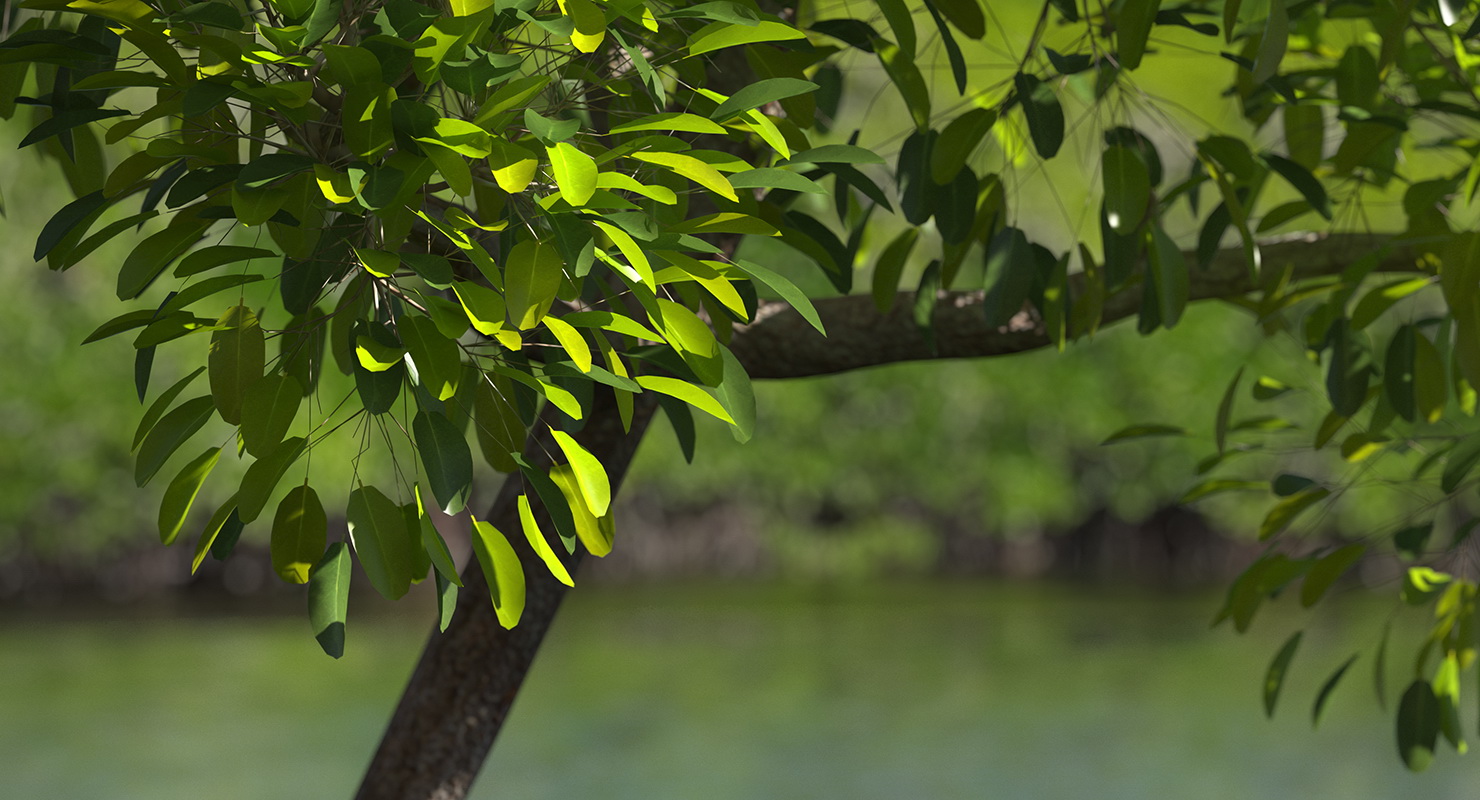 Mangrove Shrub 3D model