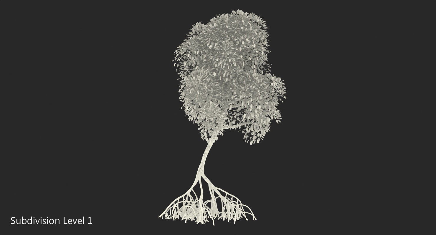 Mangrove Shrub 3D model