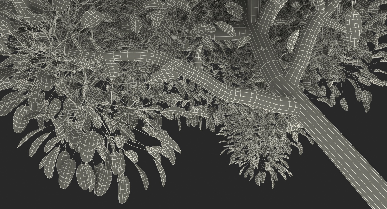 Mangrove Shrub 3D model