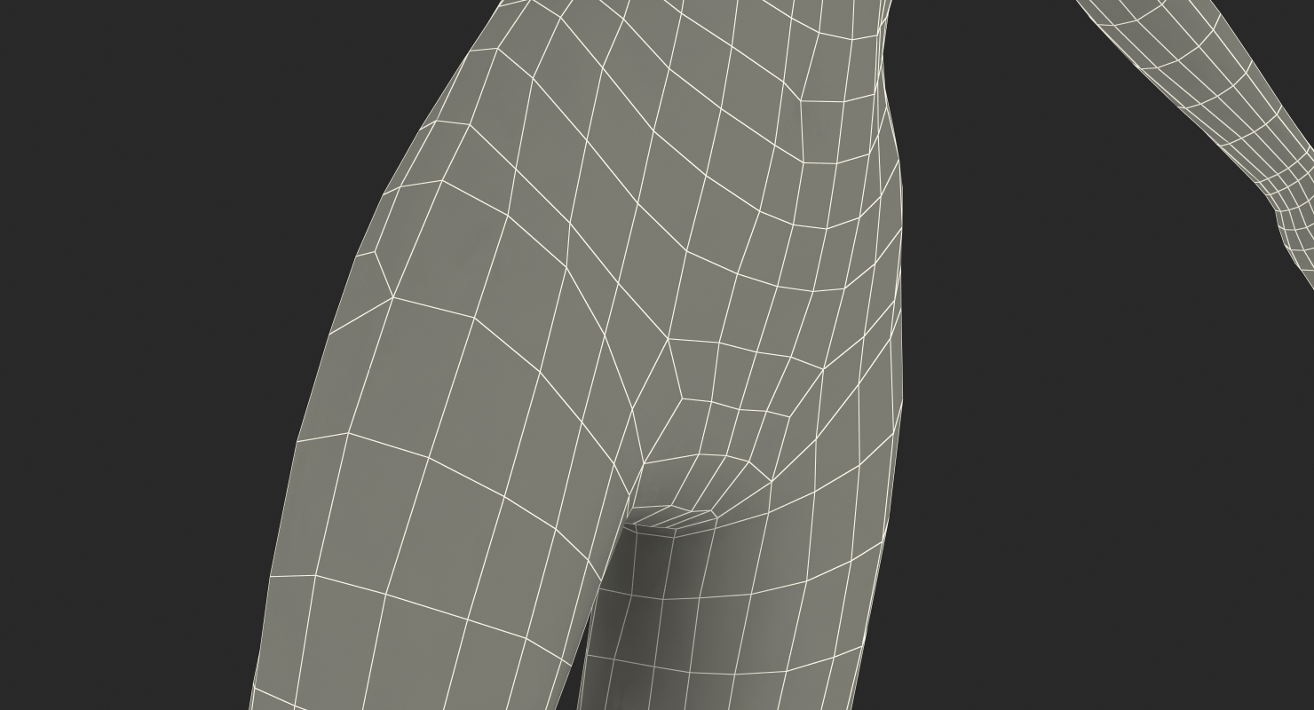 3D Female Dark Grey Mannequin T-Pose model