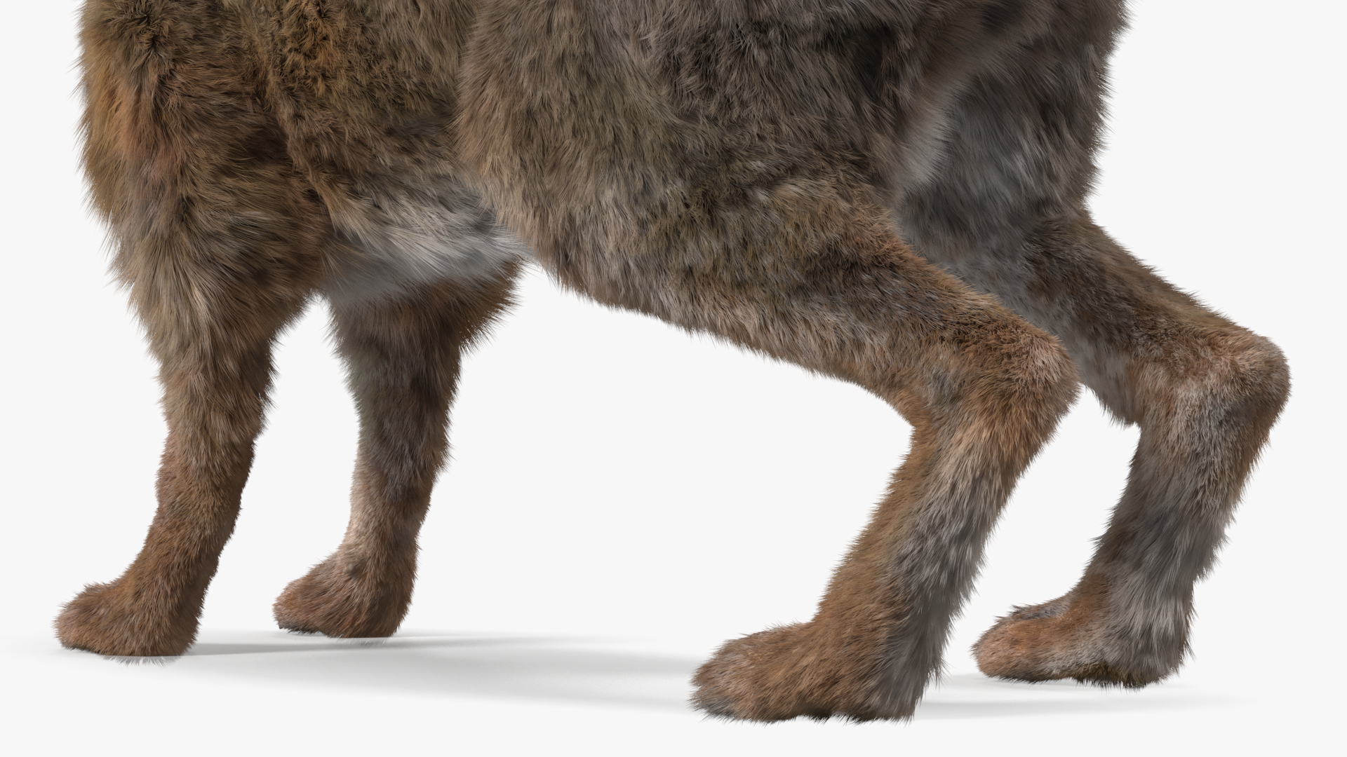 European Hare Fur 3D