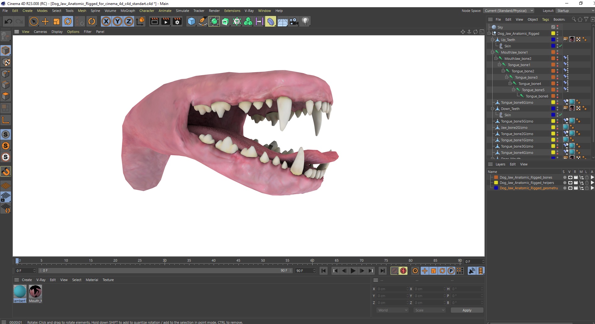 Dog Jaw Anatomic Rigged for Cinema 4D 3D