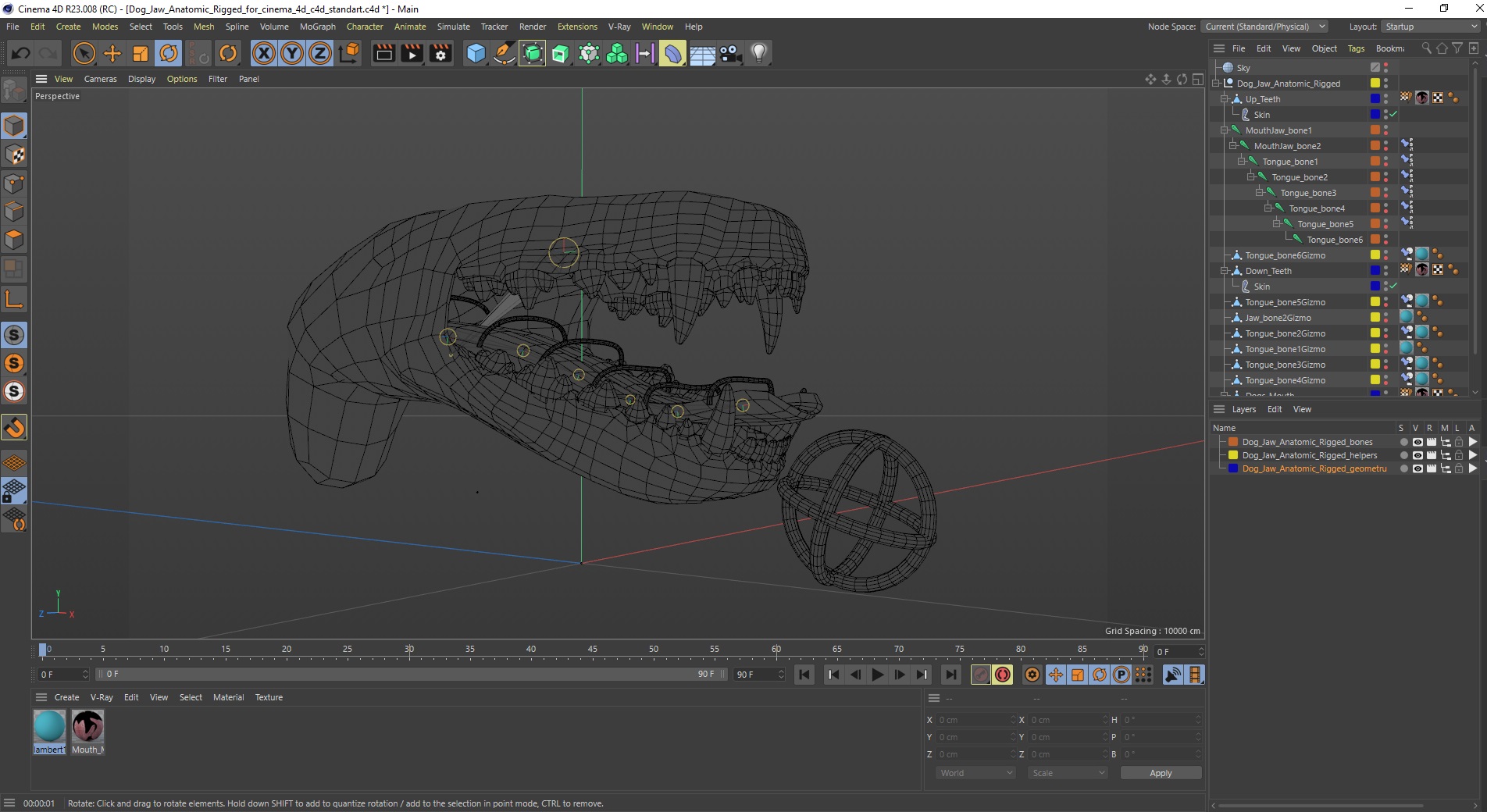 Dog Jaw Anatomic Rigged for Cinema 4D 3D