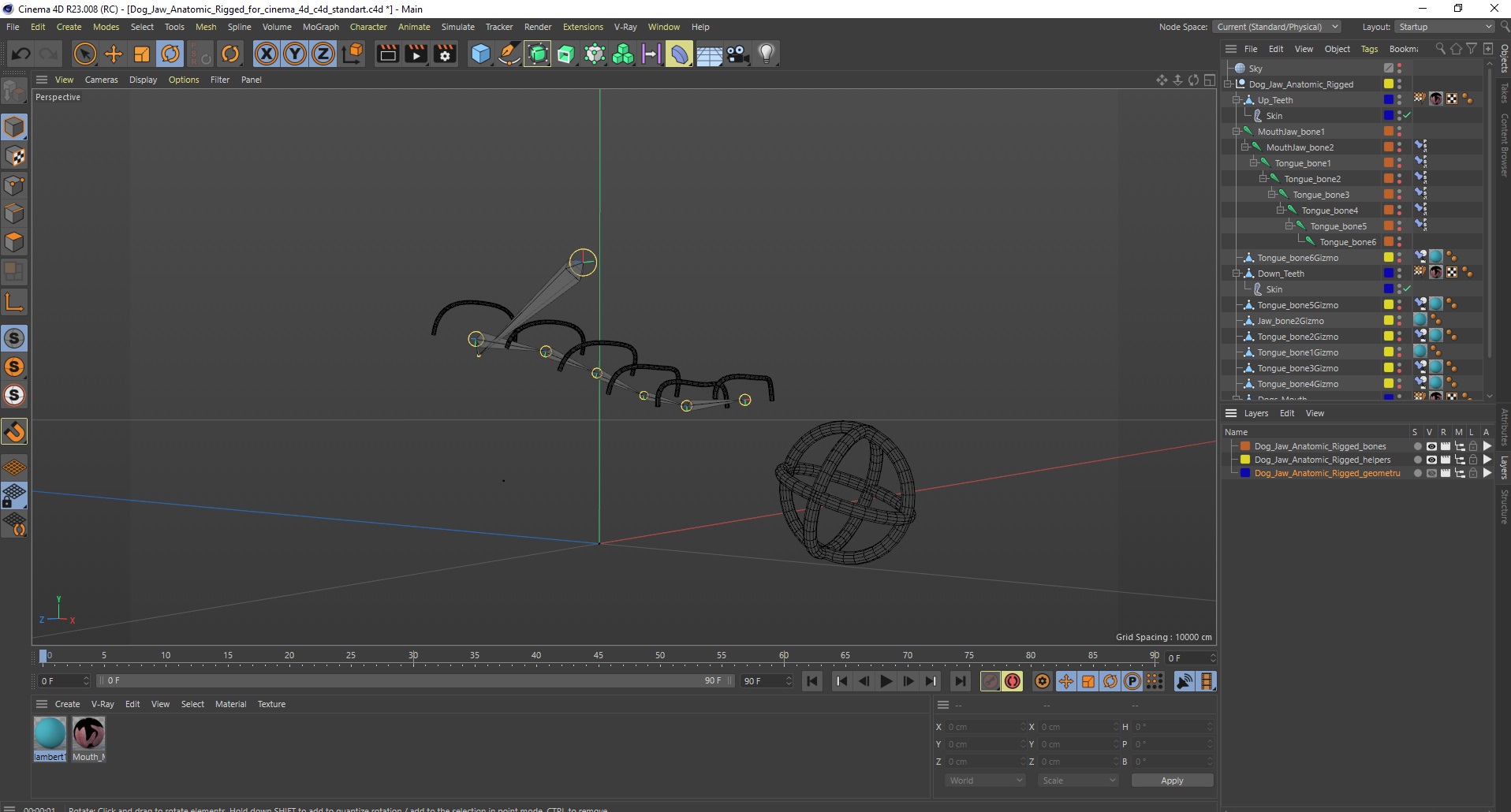 Dog Jaw Anatomic Rigged for Cinema 4D 3D