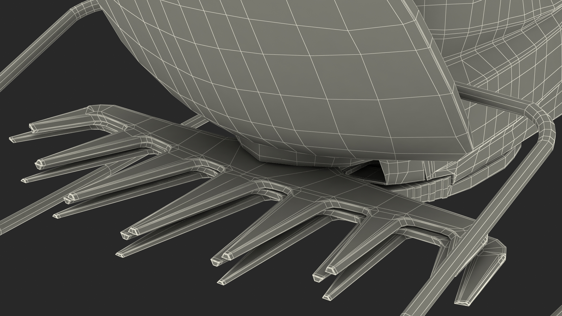 Cordless Electric Grass Shear 3D model