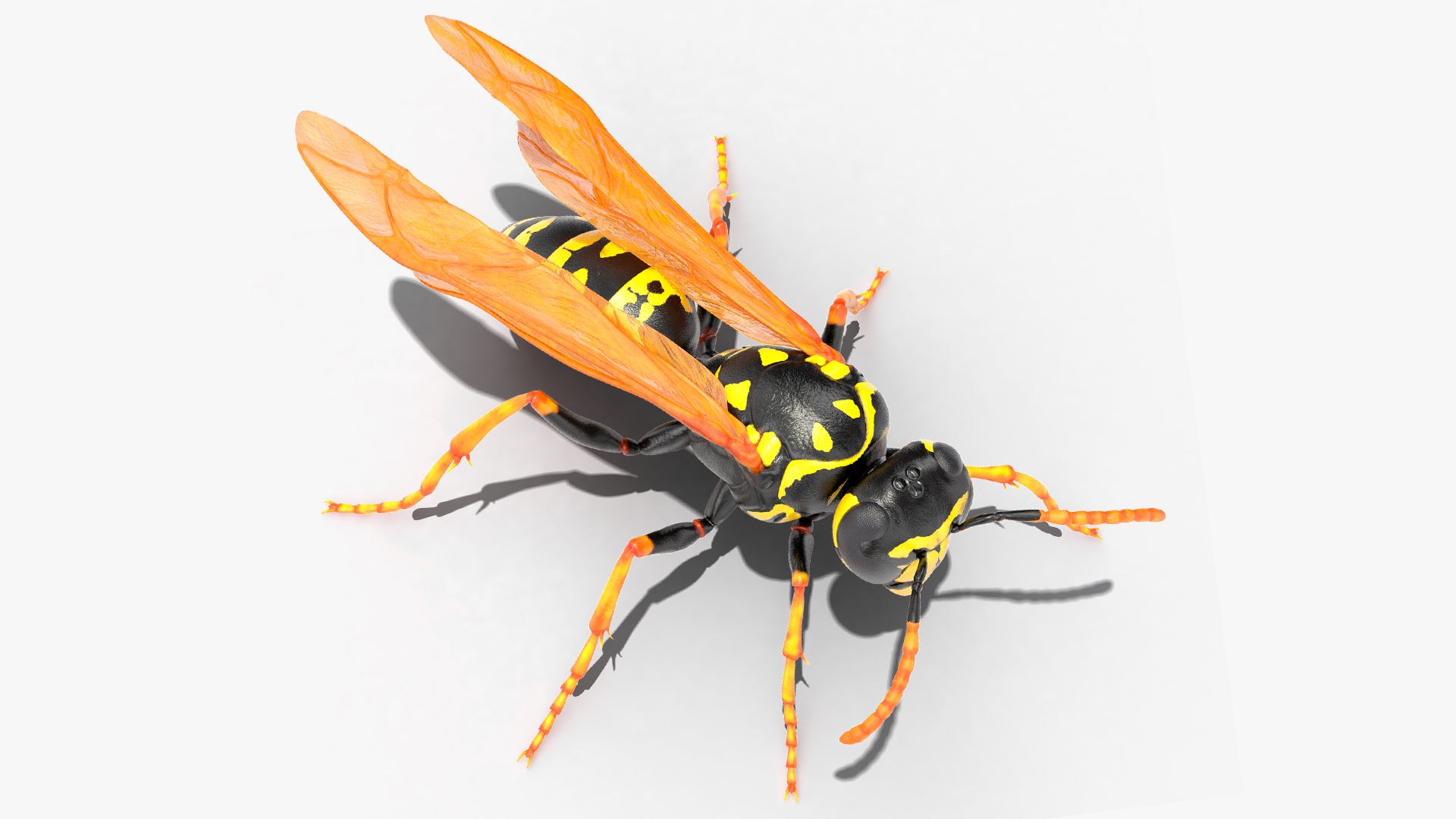 Paper Wasp Standing Pose 3D model