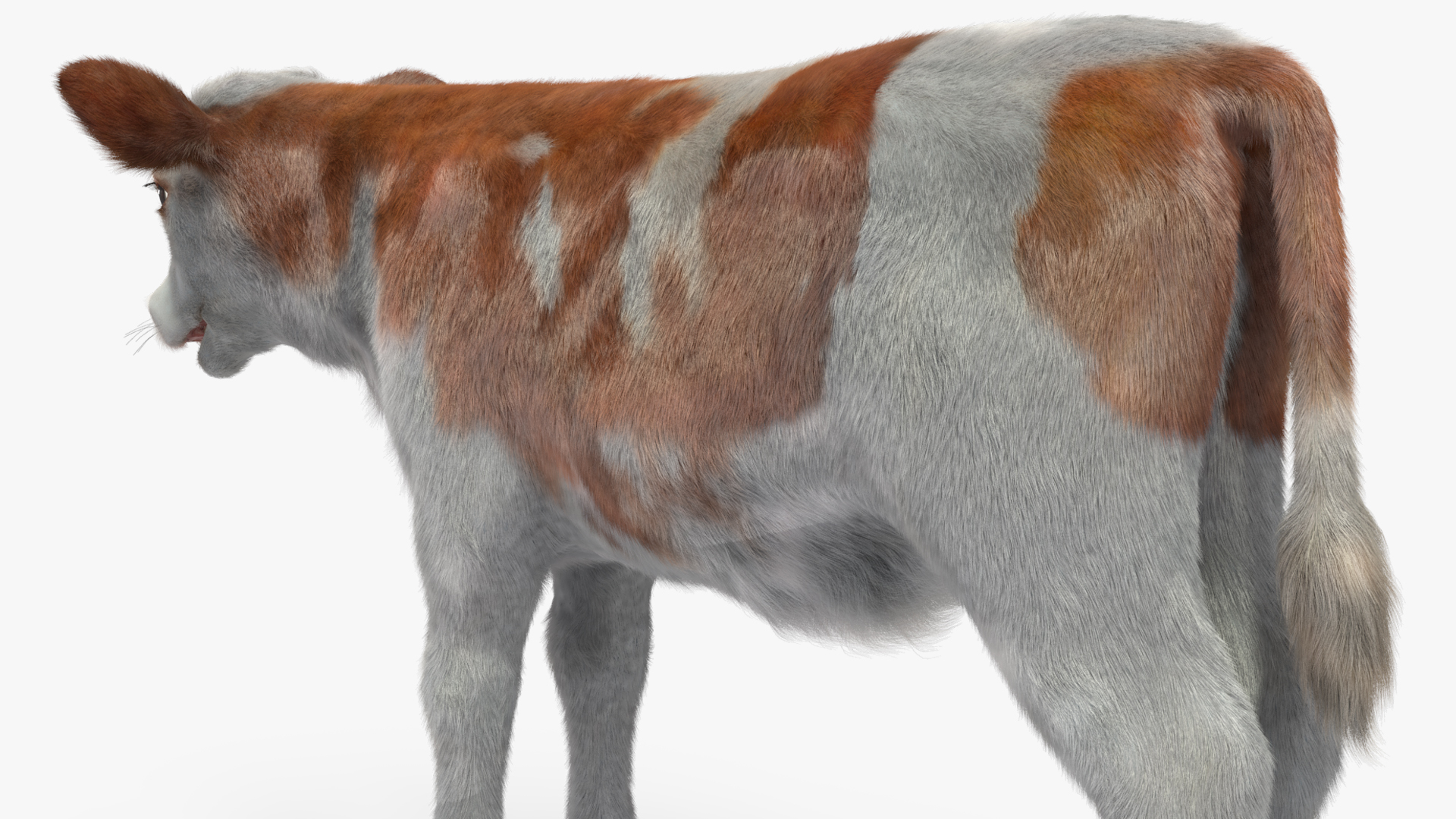 Cow Calf Fur 3D