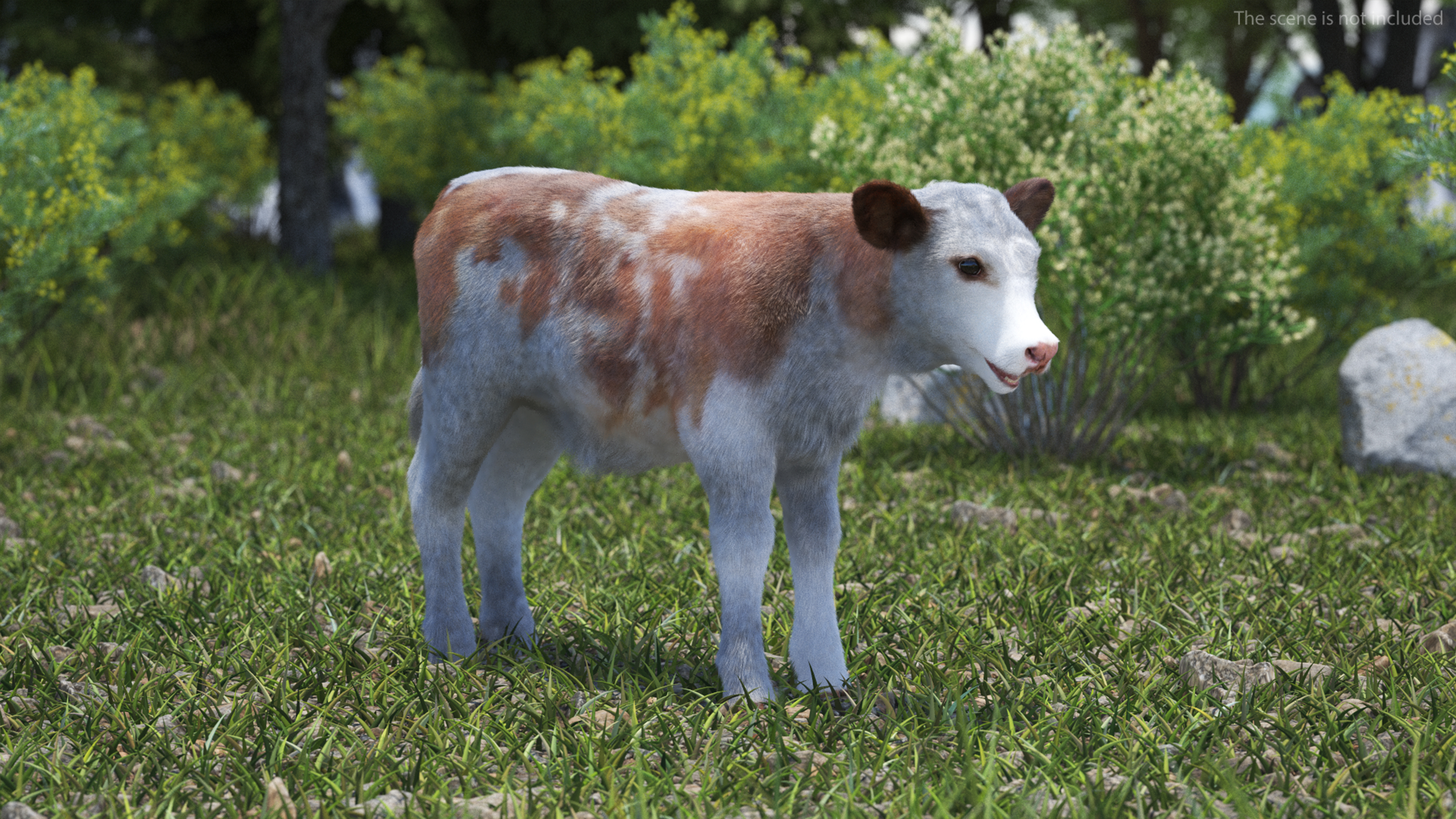Cow Calf Fur 3D