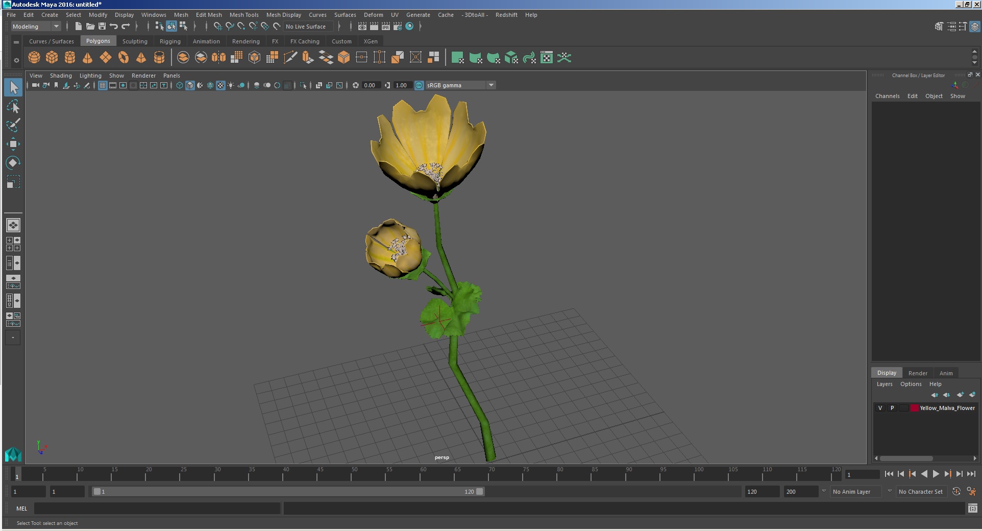 Yellow Malva Flower 3D model