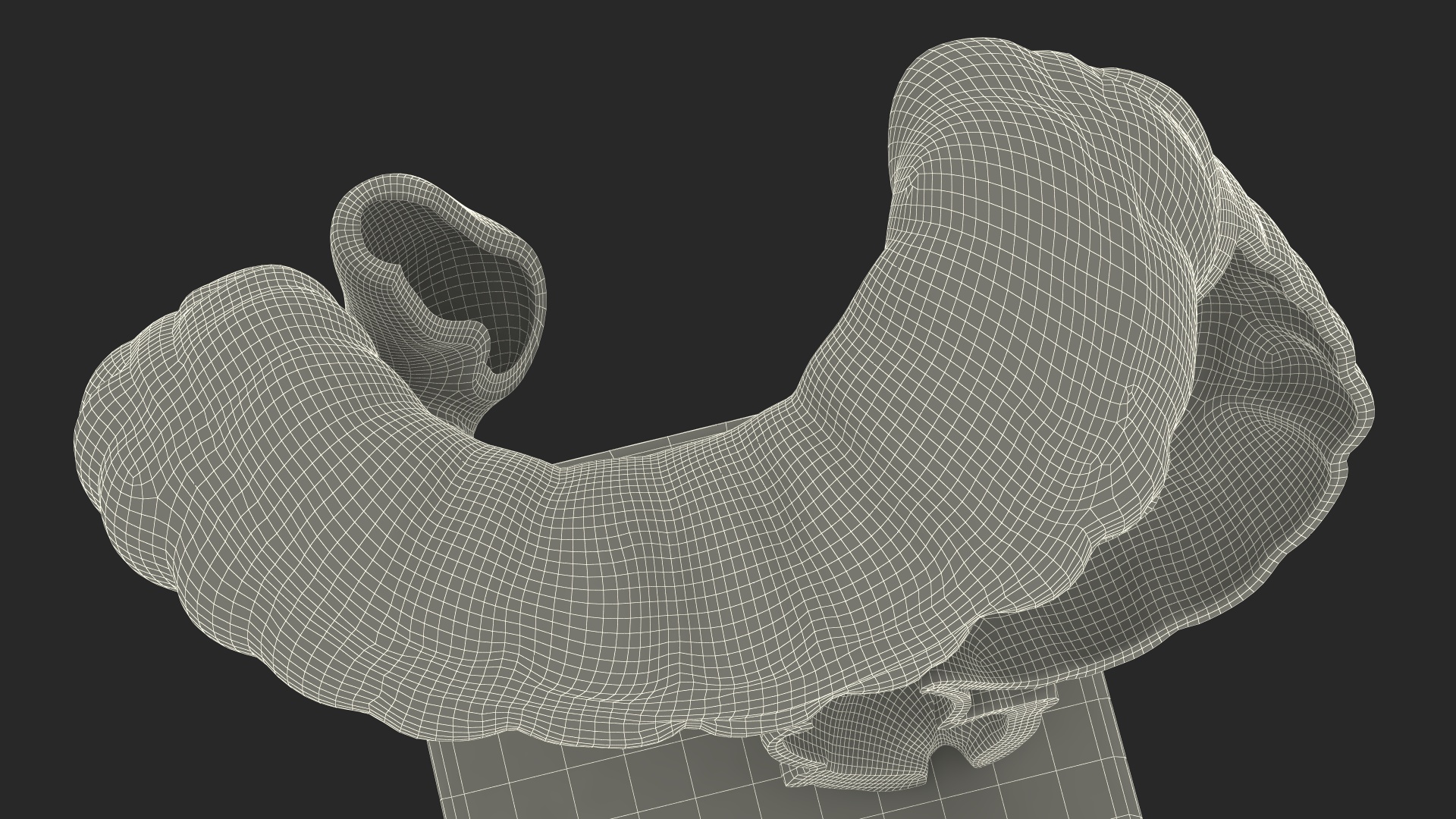 3D Intestine Medical Model model