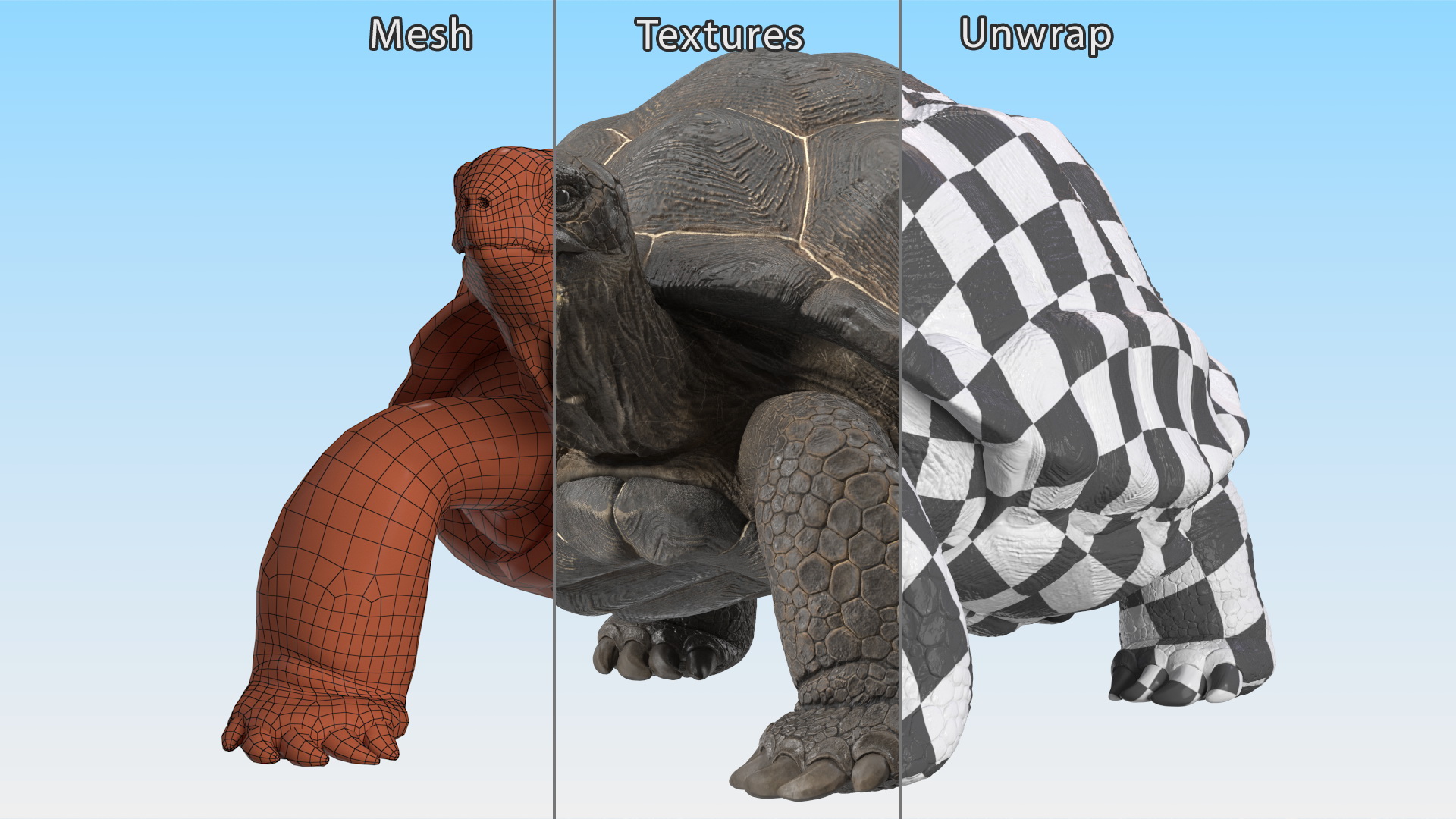 3D model Giant Tortoise Stand Pose