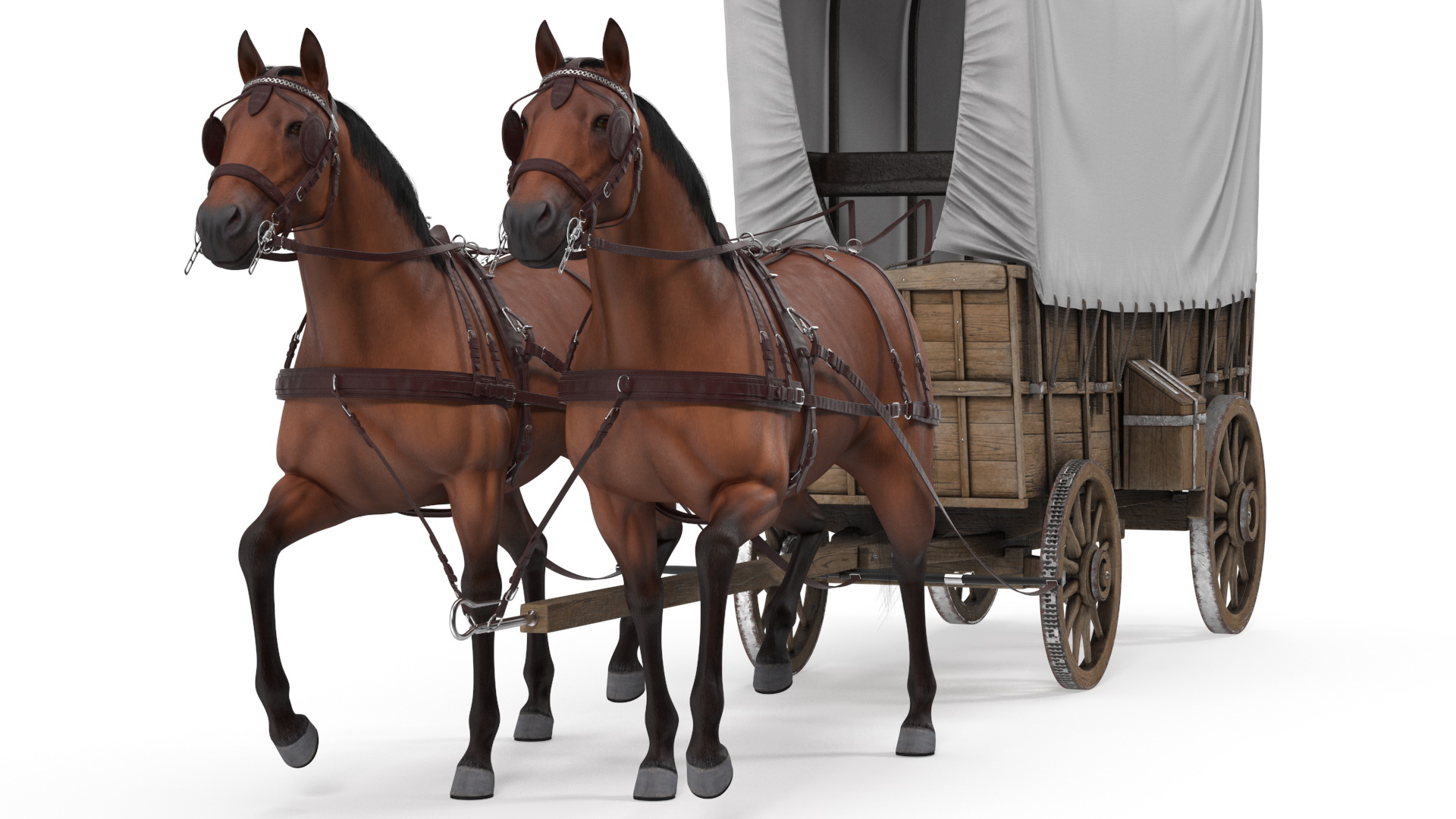 Covered Wagon with Horses fur 3D model