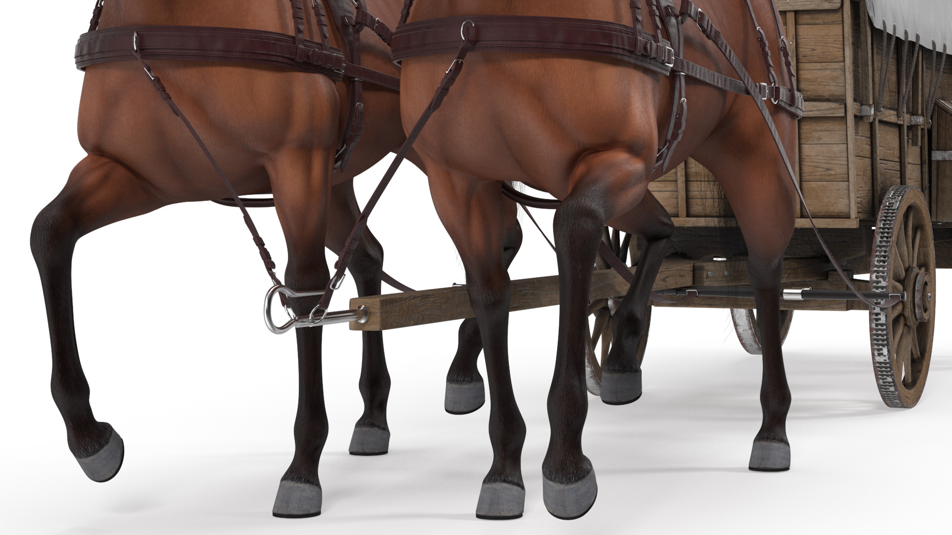 Covered Wagon with Horses fur 3D model
