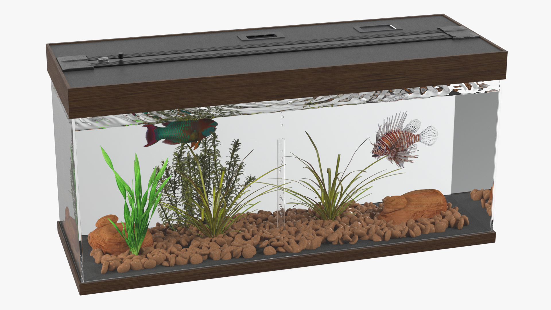 3D Fish Tank Wooden Long