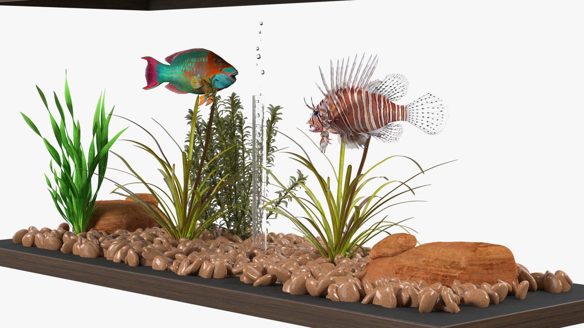 3D Fish Tank Wooden Long