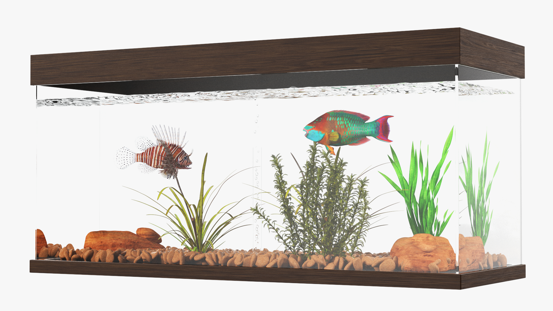 3D Fish Tank Wooden Long