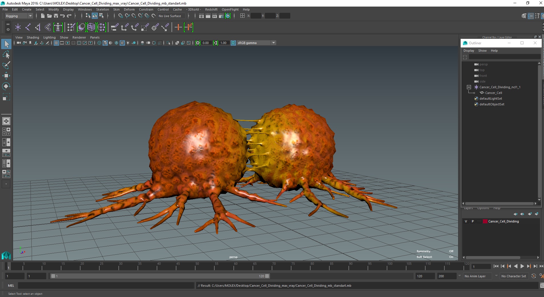 3D model Cancer Cell Dividing